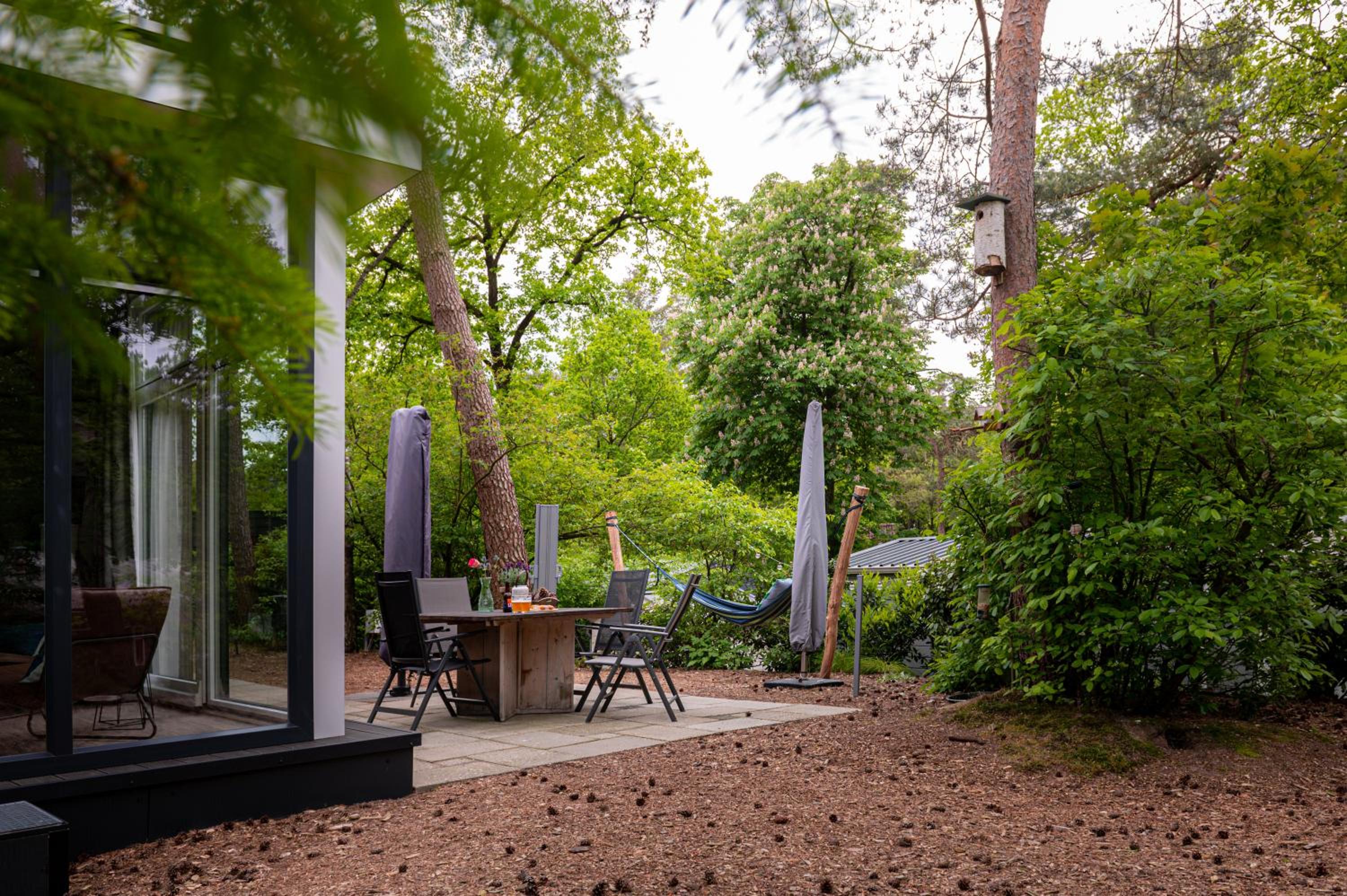 Lodge IJsvogel Nunspeet Veluwe