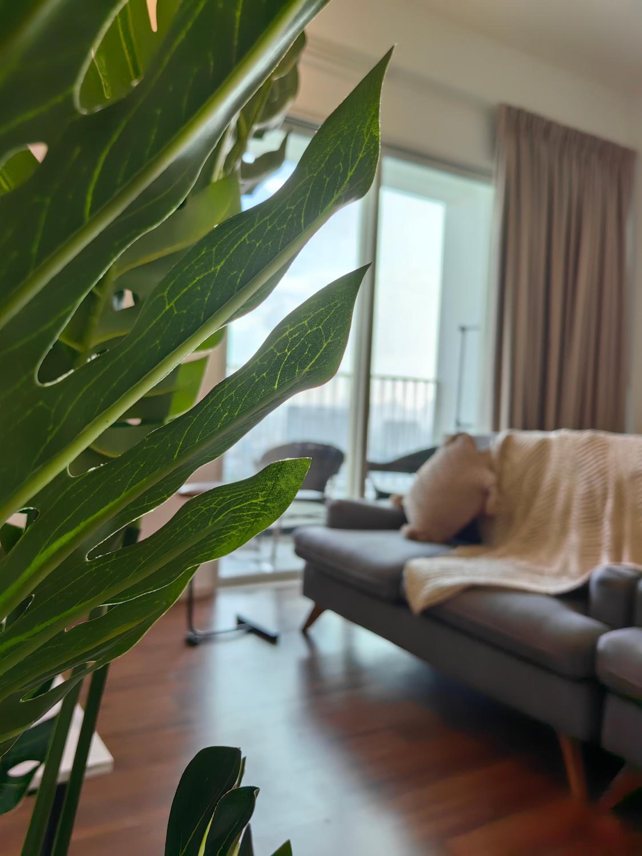 Una Serviced Apartment, Jalan Peel by Rverse Suite
