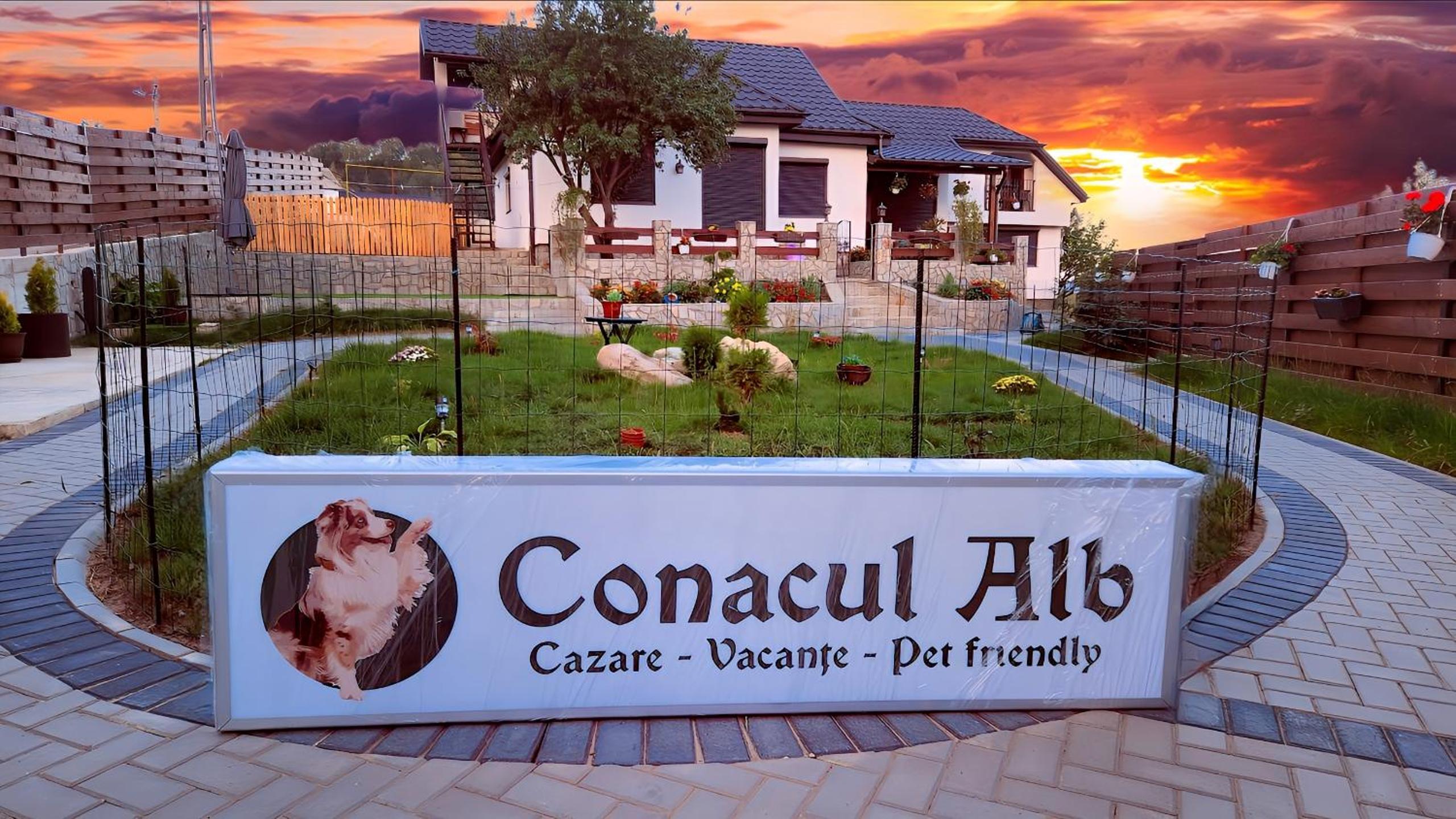 Conacul Alb, prilej de vacanță view 3