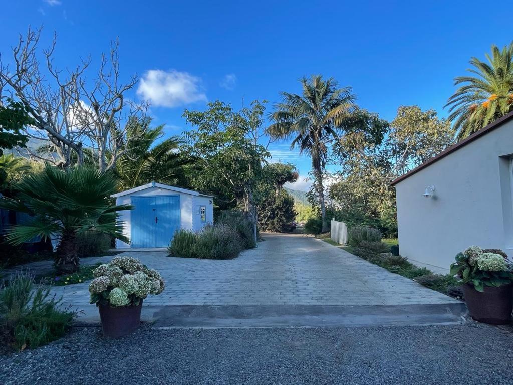 Casas La Principal