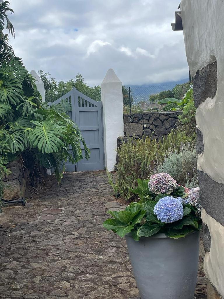 Casas La Principal