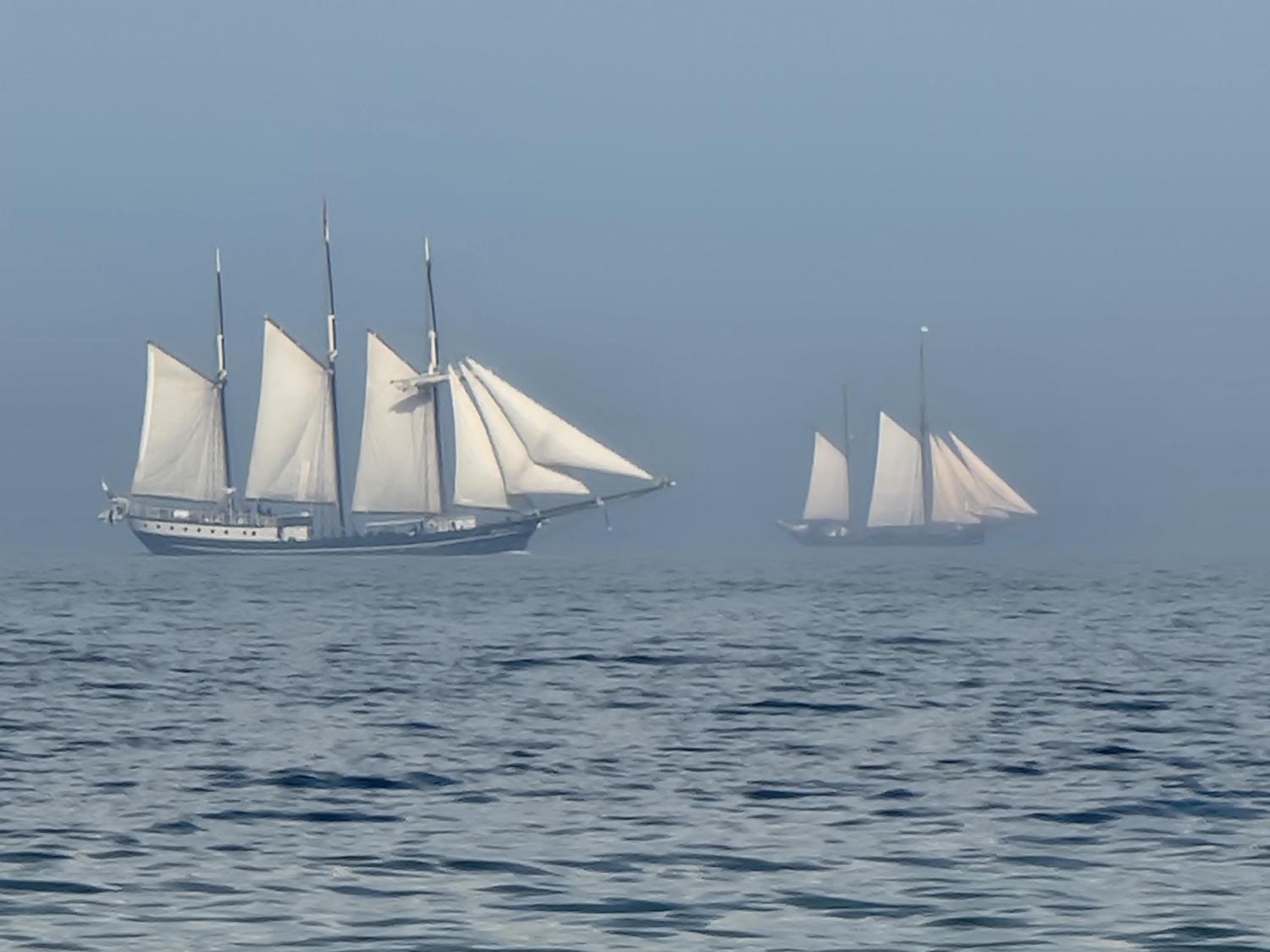 Ferienhaus Piratennest