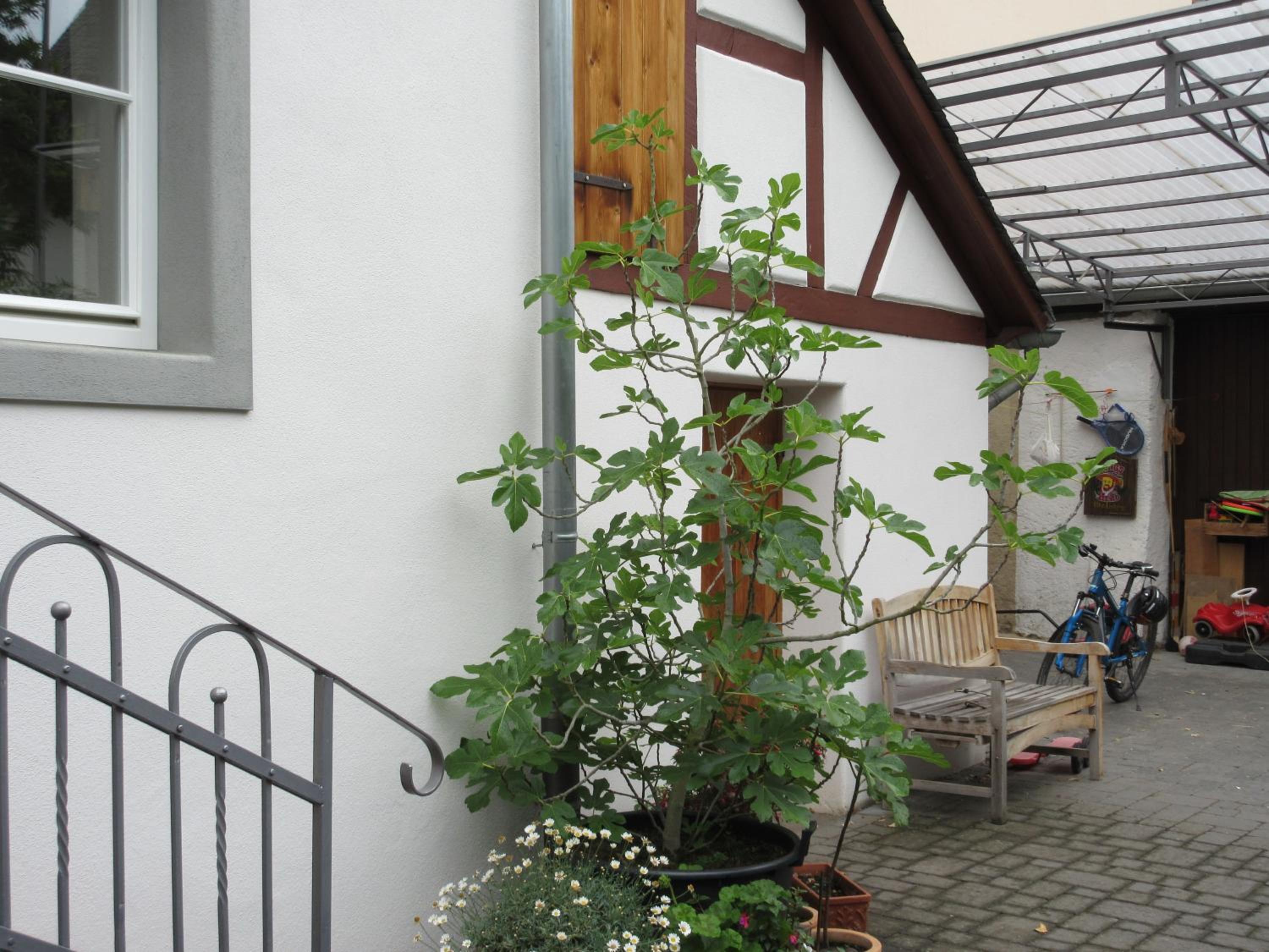 Historisches Ferienhaus Abteistraße