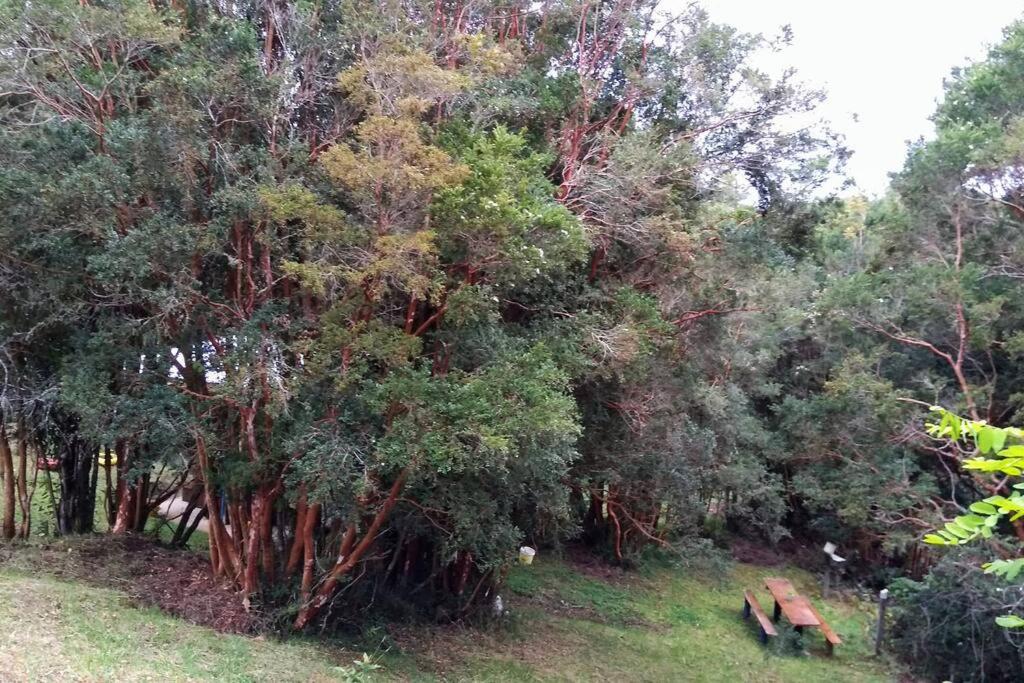 Cabaña Arrayan, Los Muermos