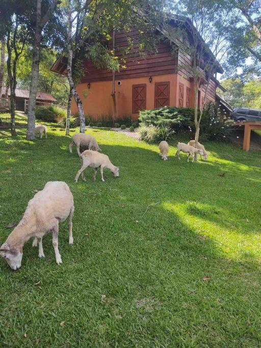 Casa de campo próximo a Gramado