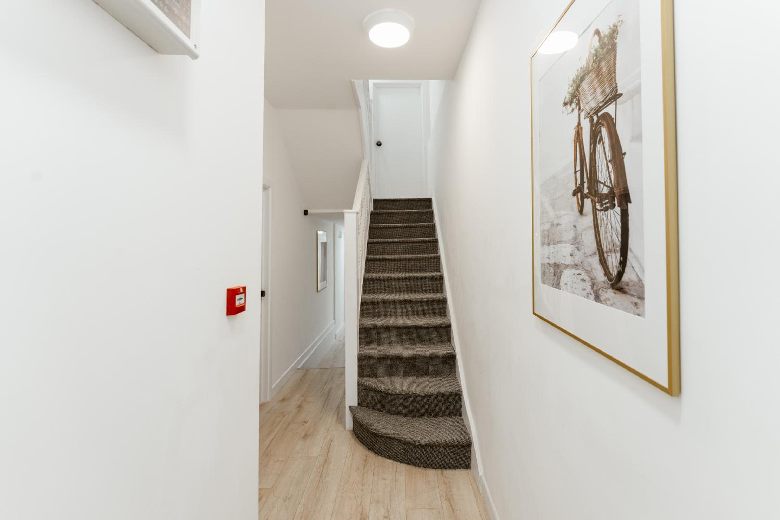 The Finsbury Park Star Apartments