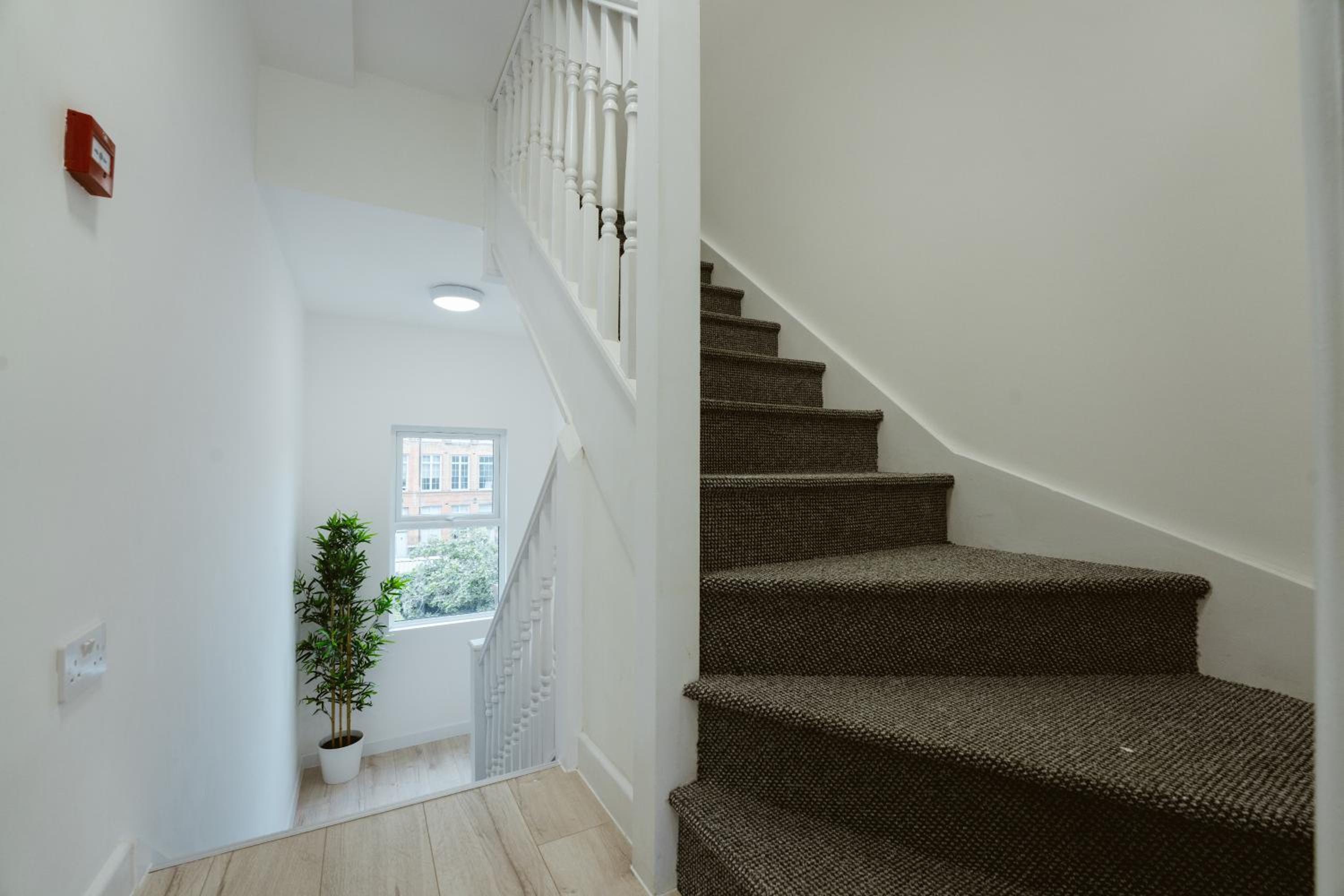 The Finsbury Park Star Apartments