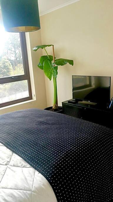 Departamento frente al lago Villarrica