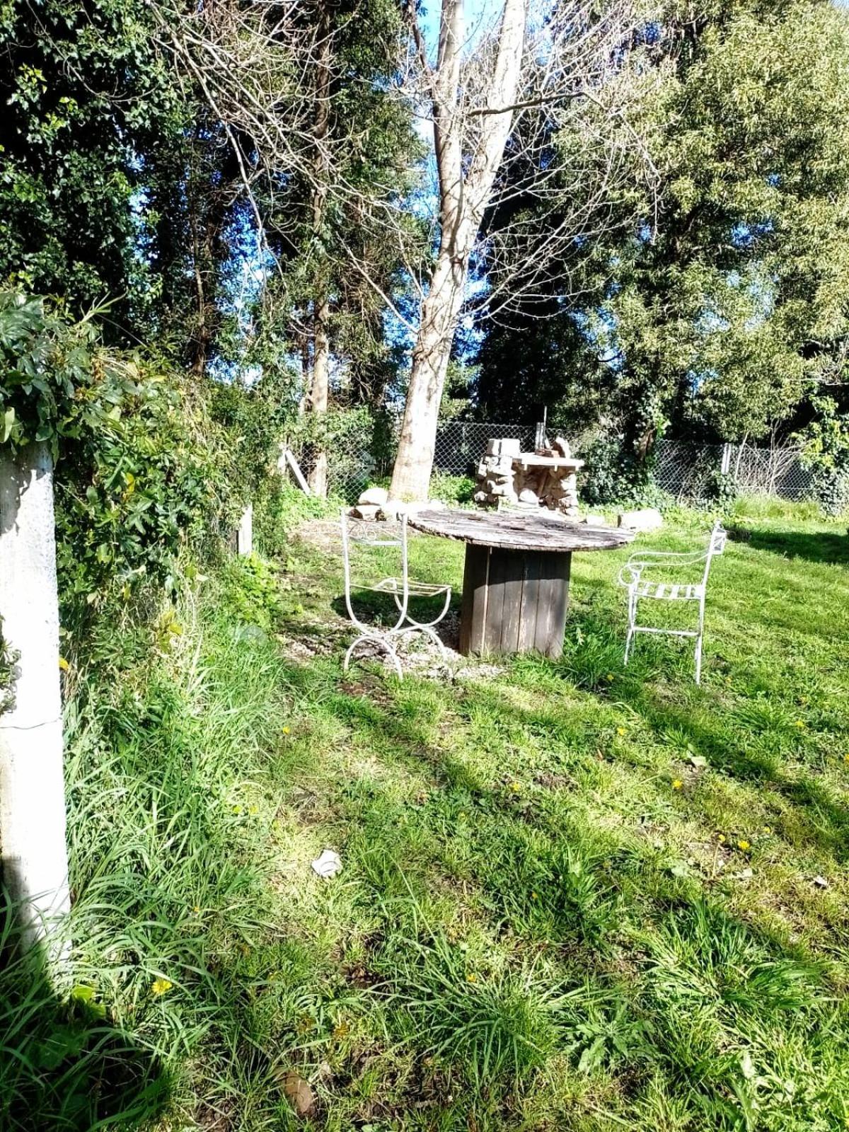 Casa del bosque