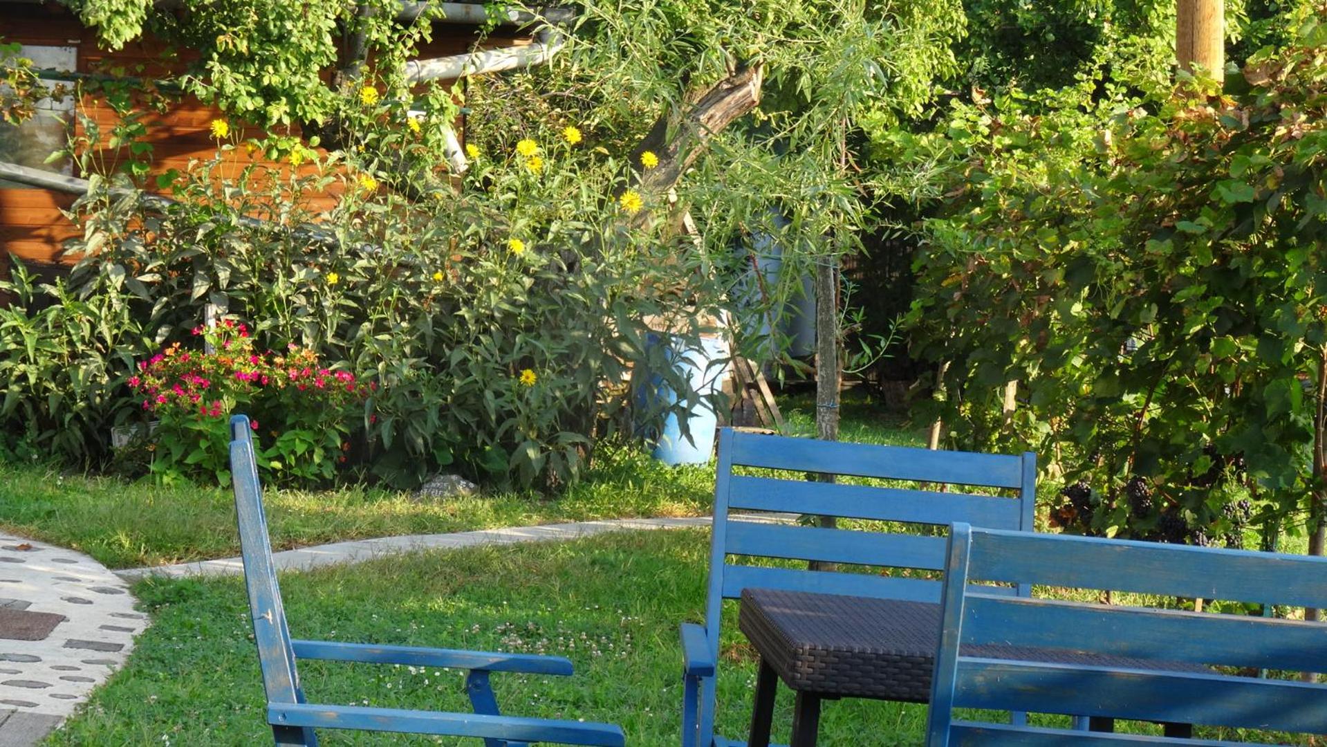Photo 9