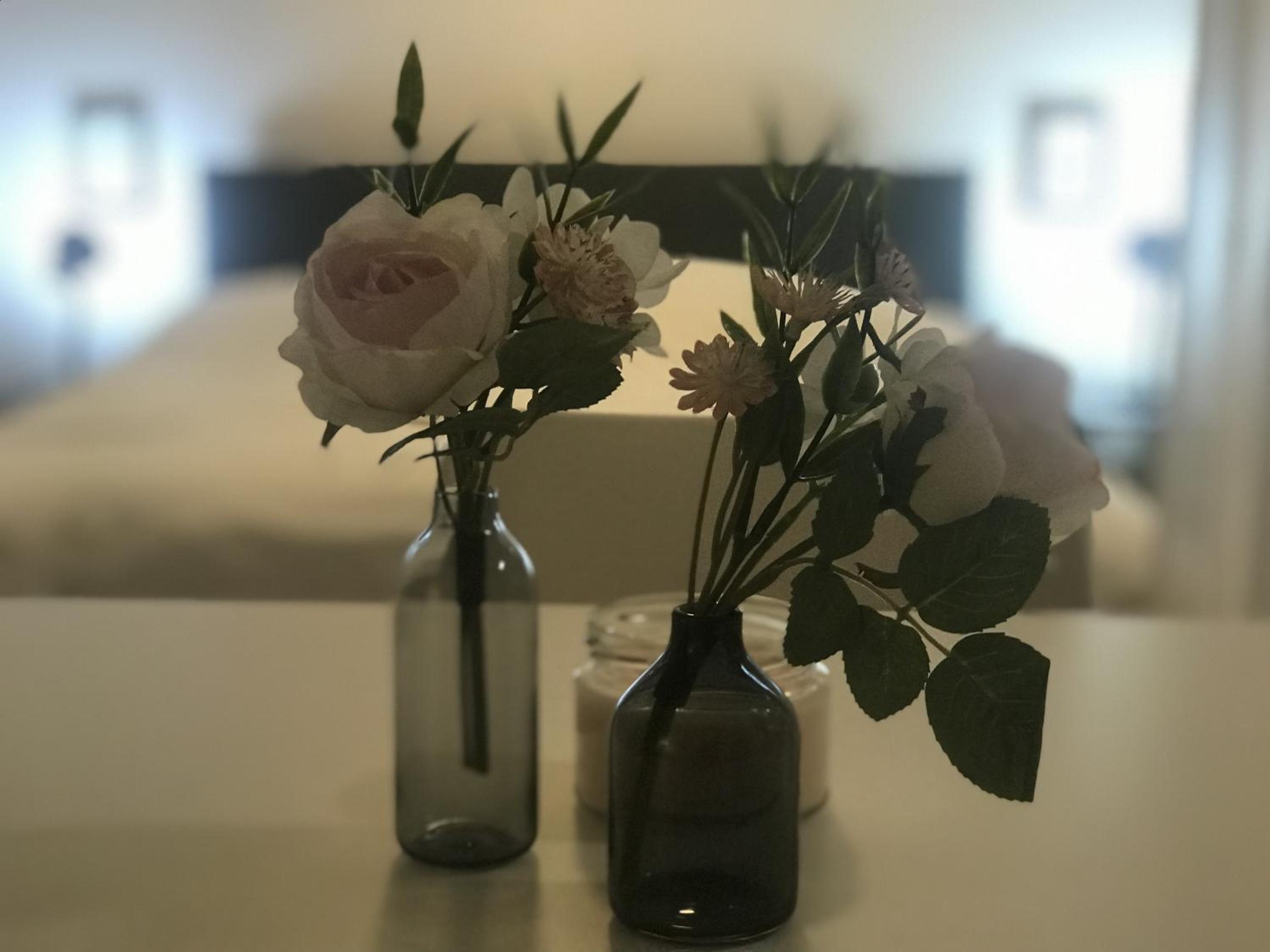 Dresden Vacations - Tiny Apartment Spring - Property Image 15