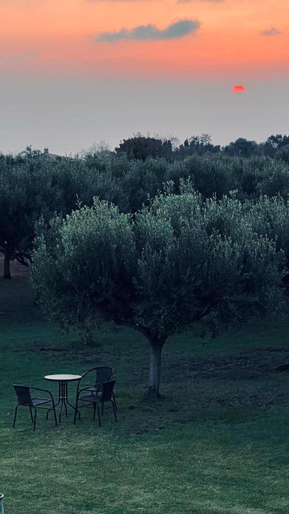 B&B Casale Pietrantica Tropea