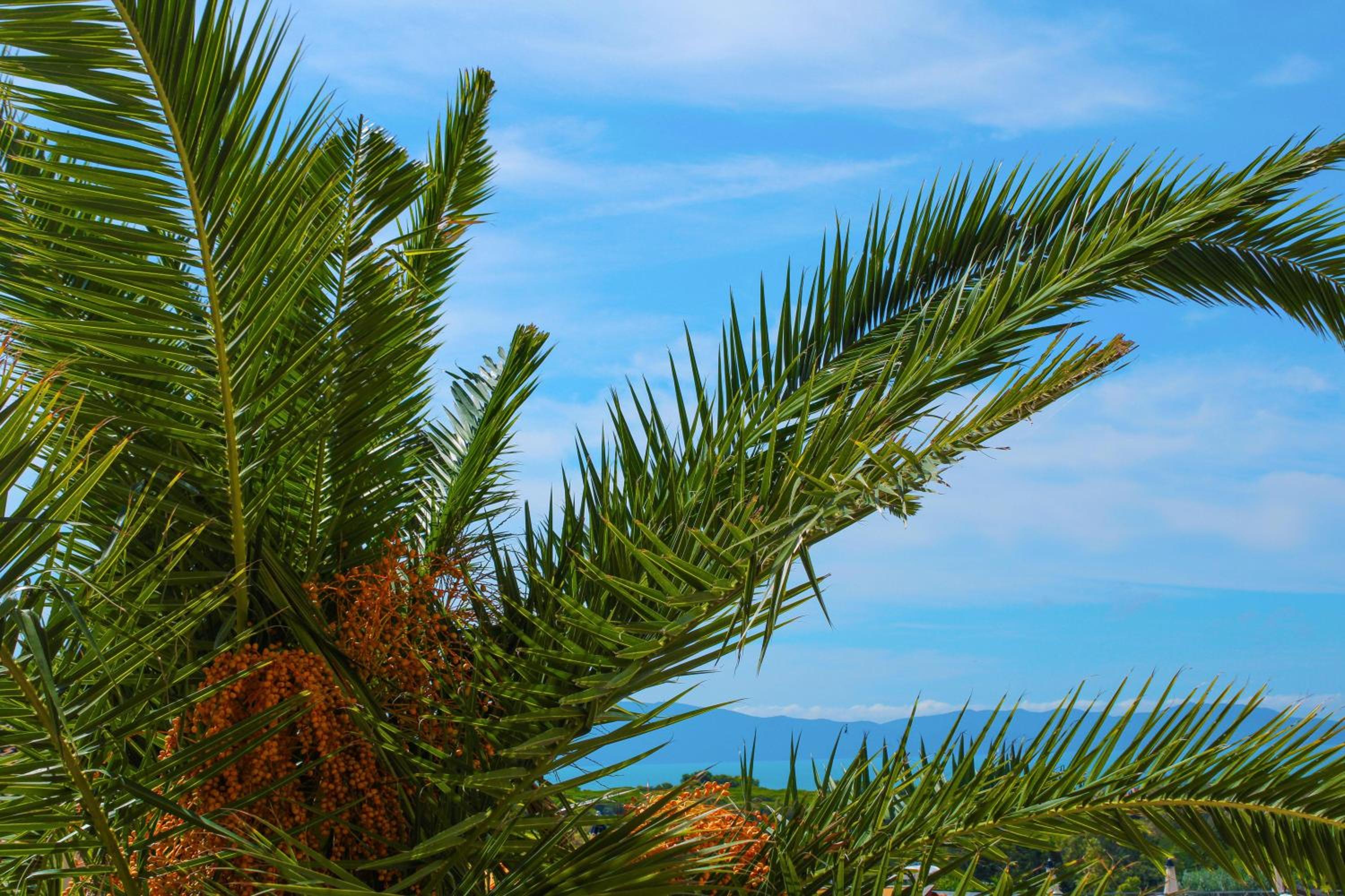 Argentario Osa Resort - Property Image 4