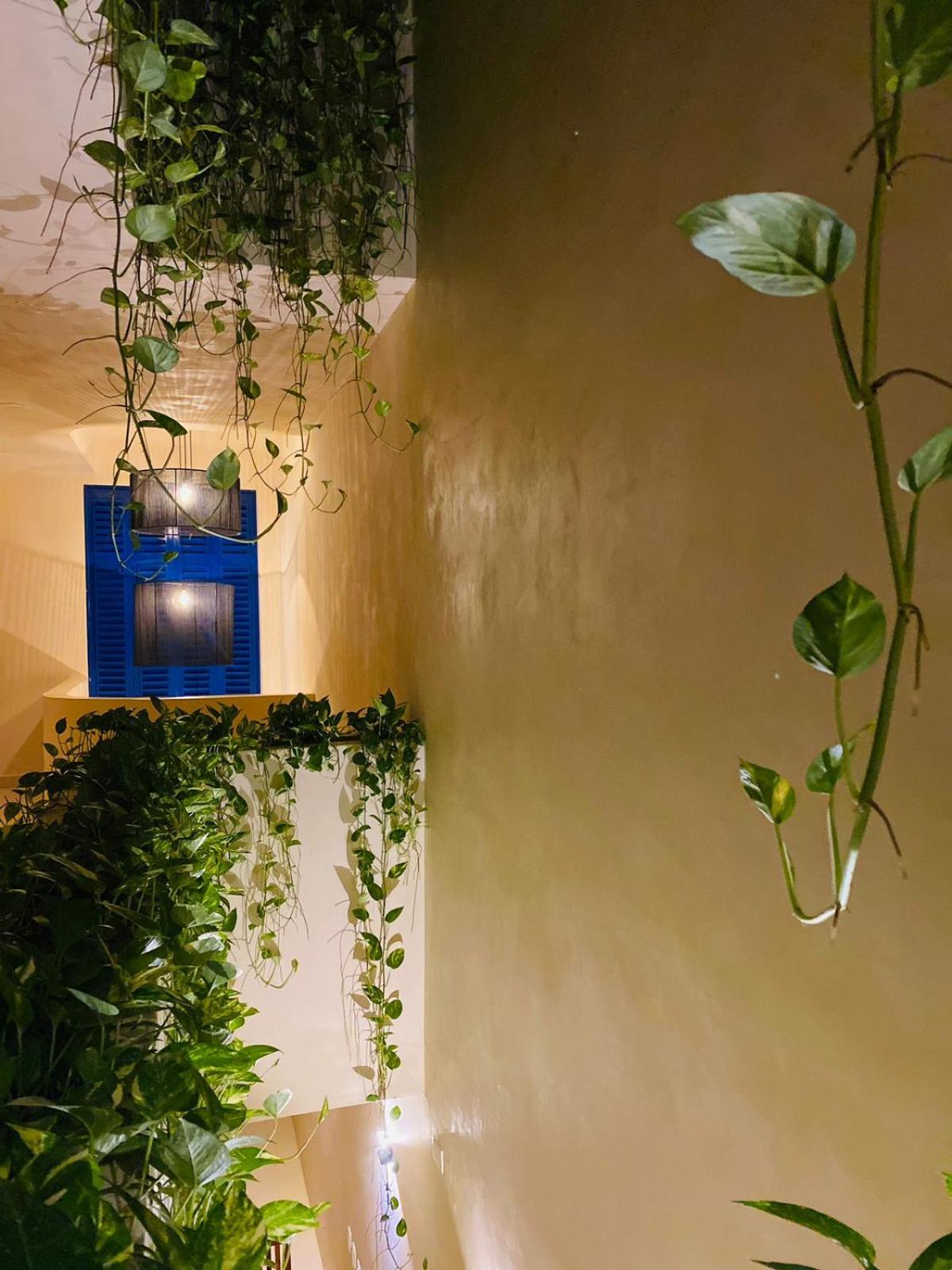 Holbox apartment