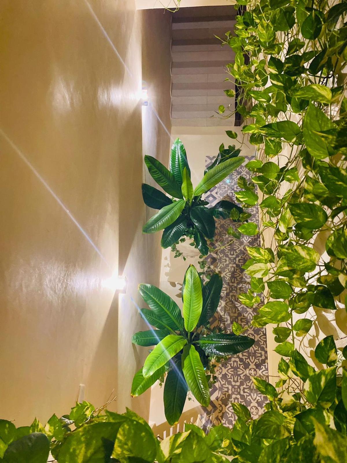 Holbox apartment