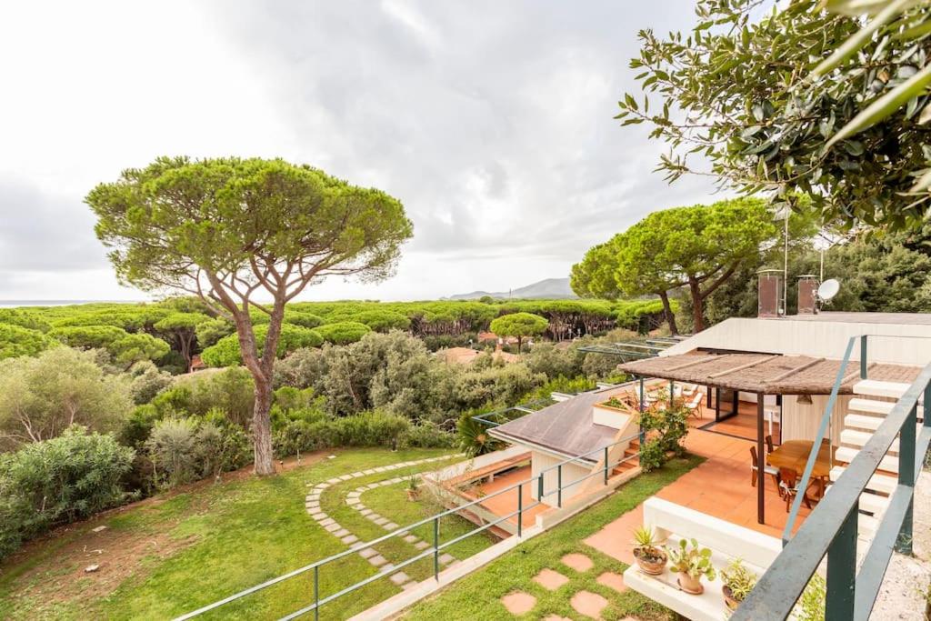 Villa a Castiglione della Pescaia view 4