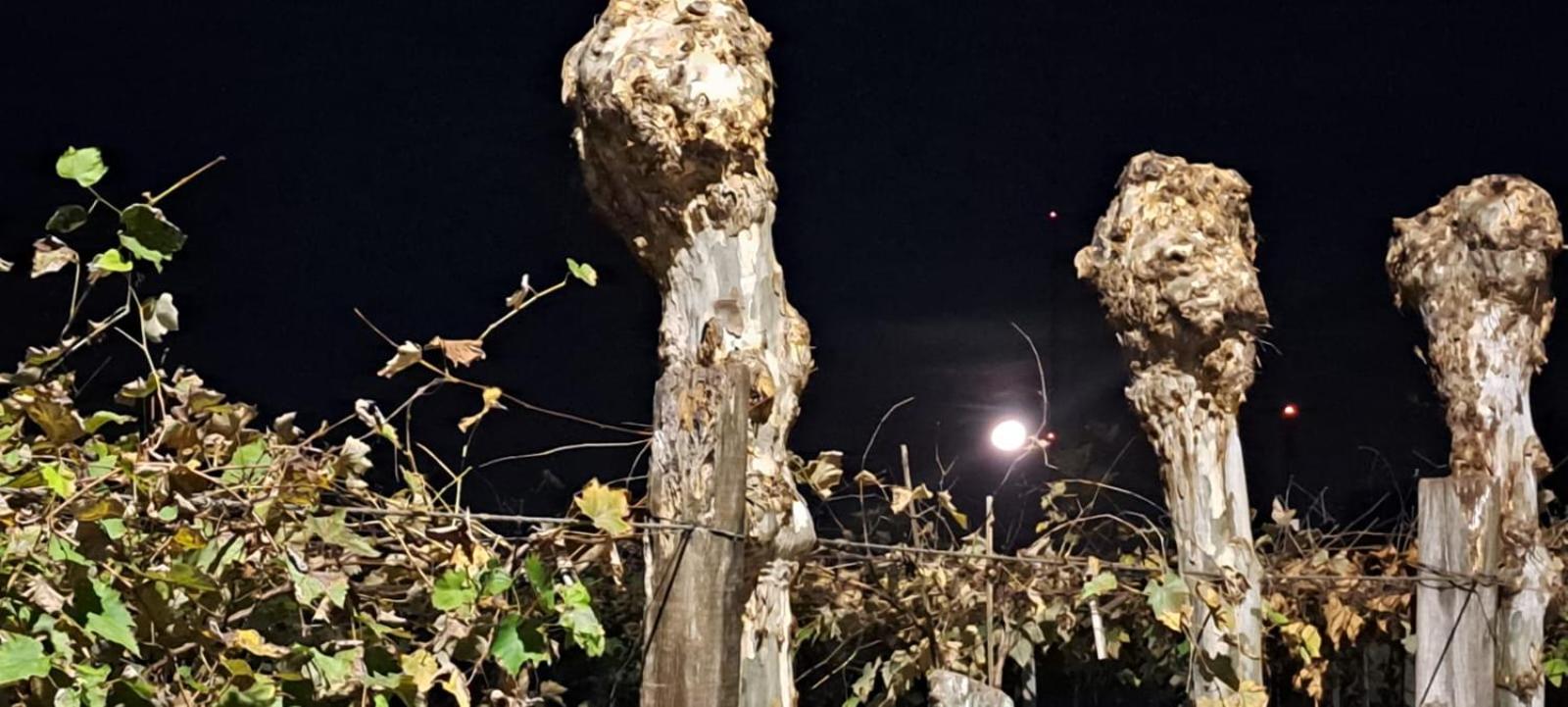 Locanda Montecielo Pousada Boutique - Vale dos Vinhedos