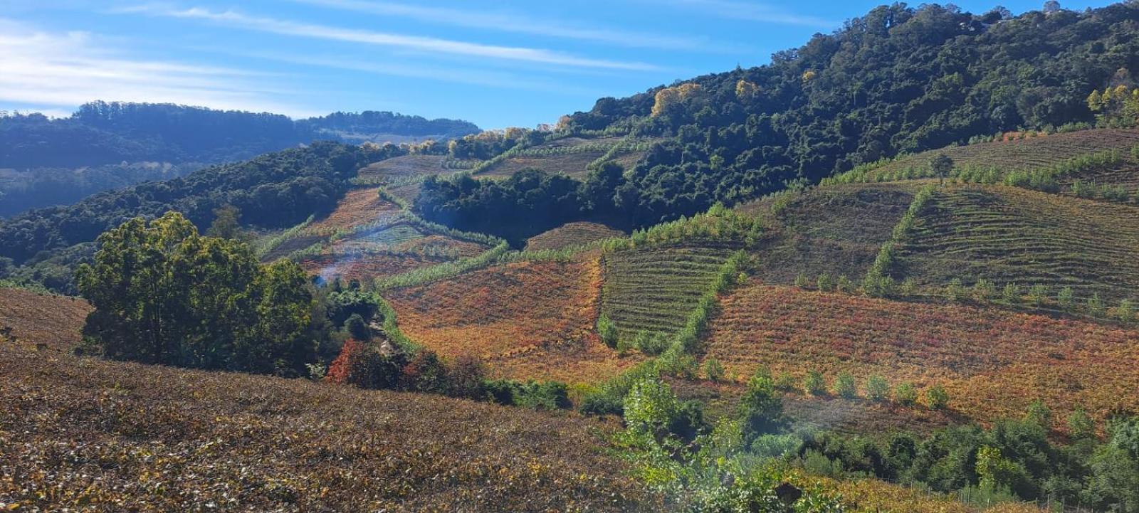 Locanda Montecielo Pousada Boutique - Vale dos Vinhedos