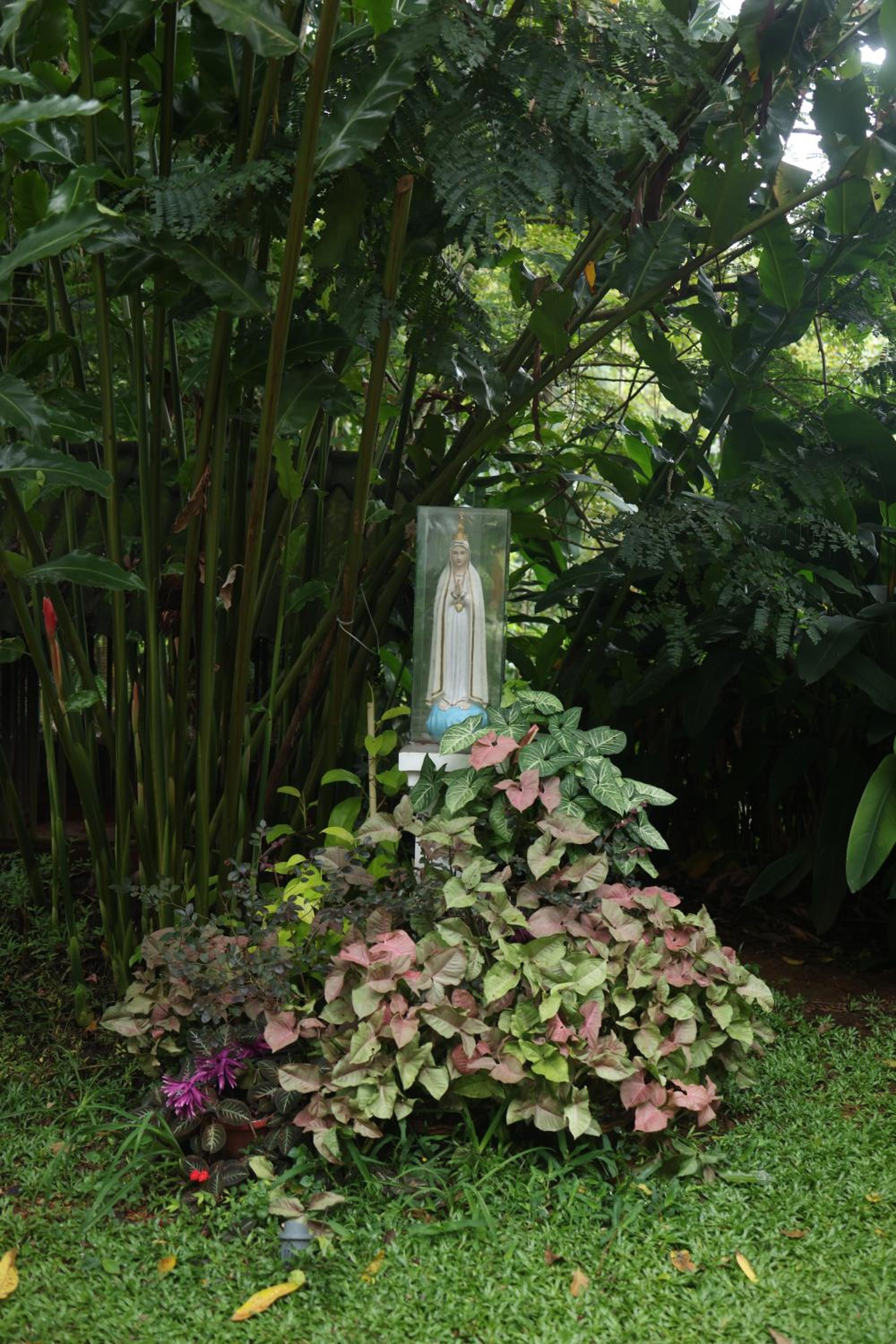 Photo 34