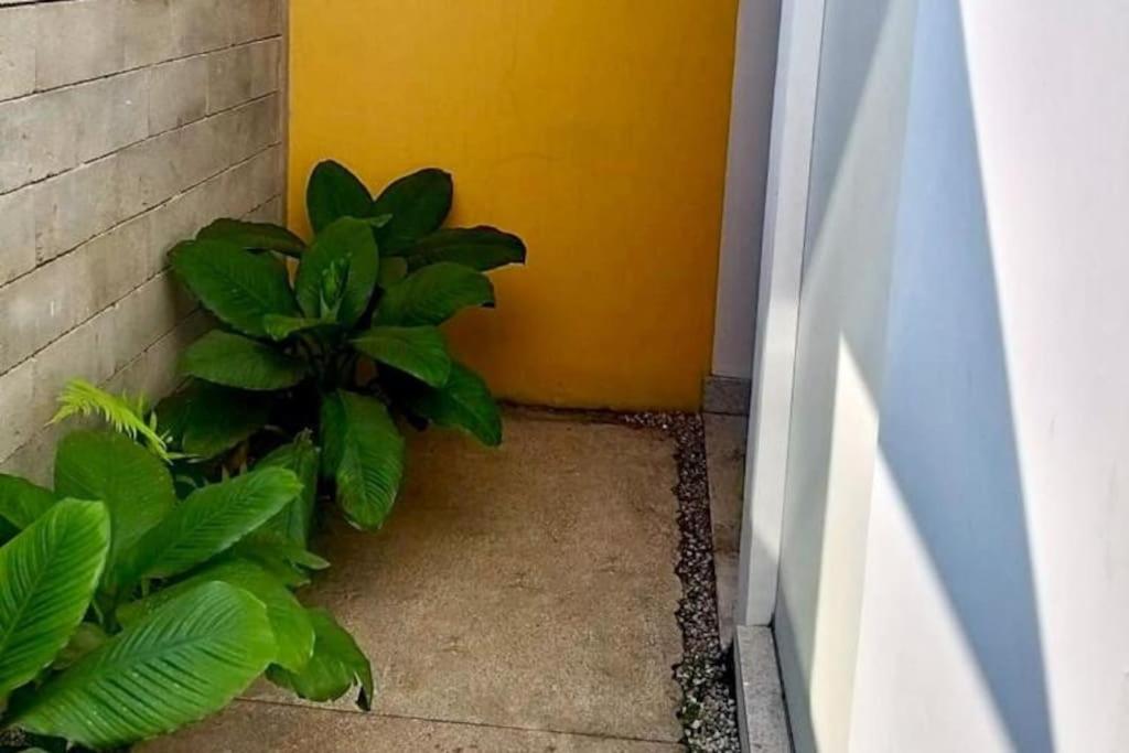 Loft em Guaratinguetá - SP