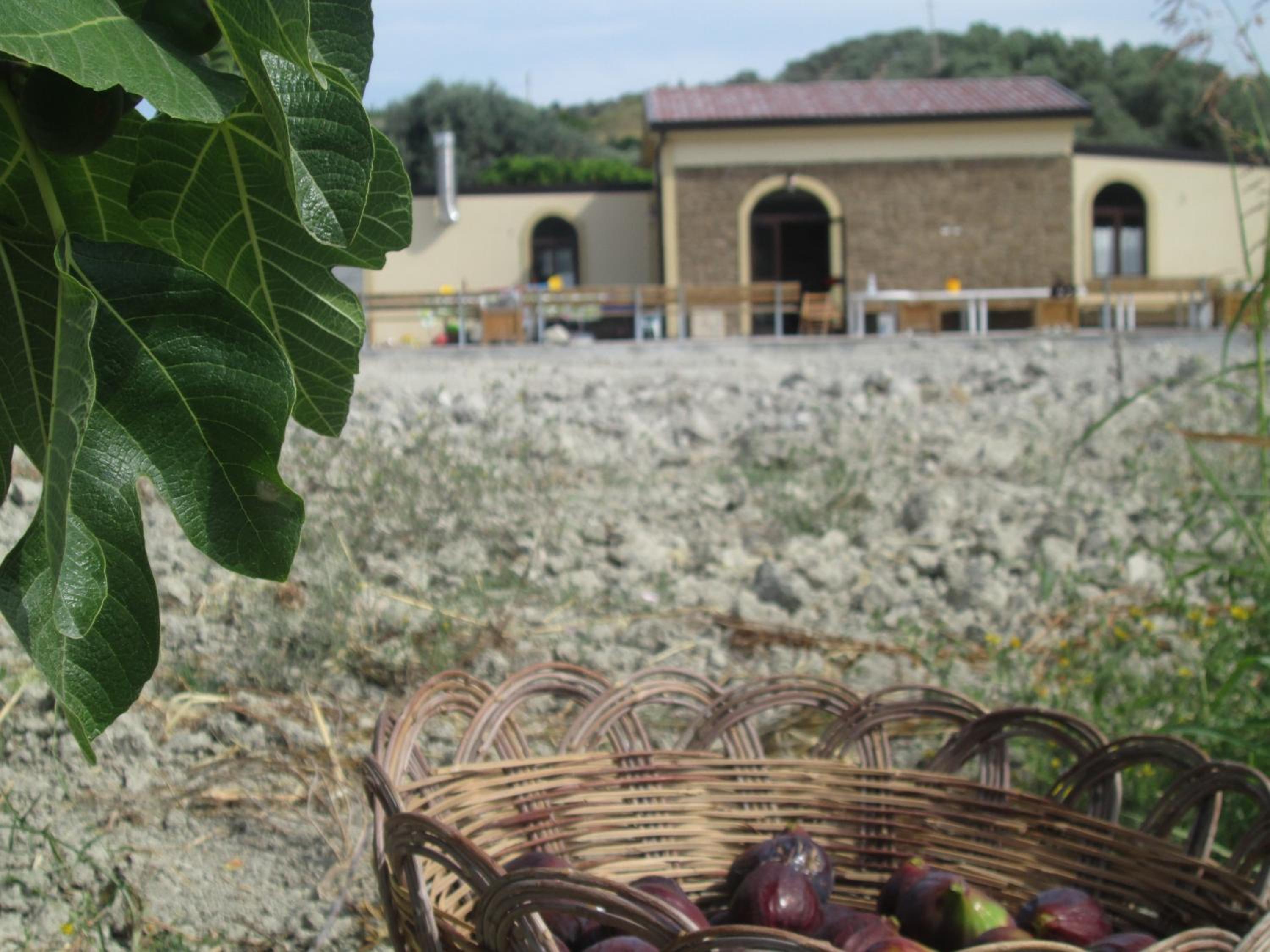 Agriturismo Donna Beatrice