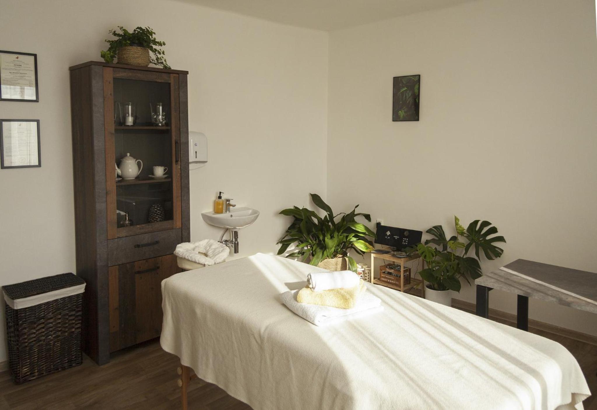 Holiday house Malšice