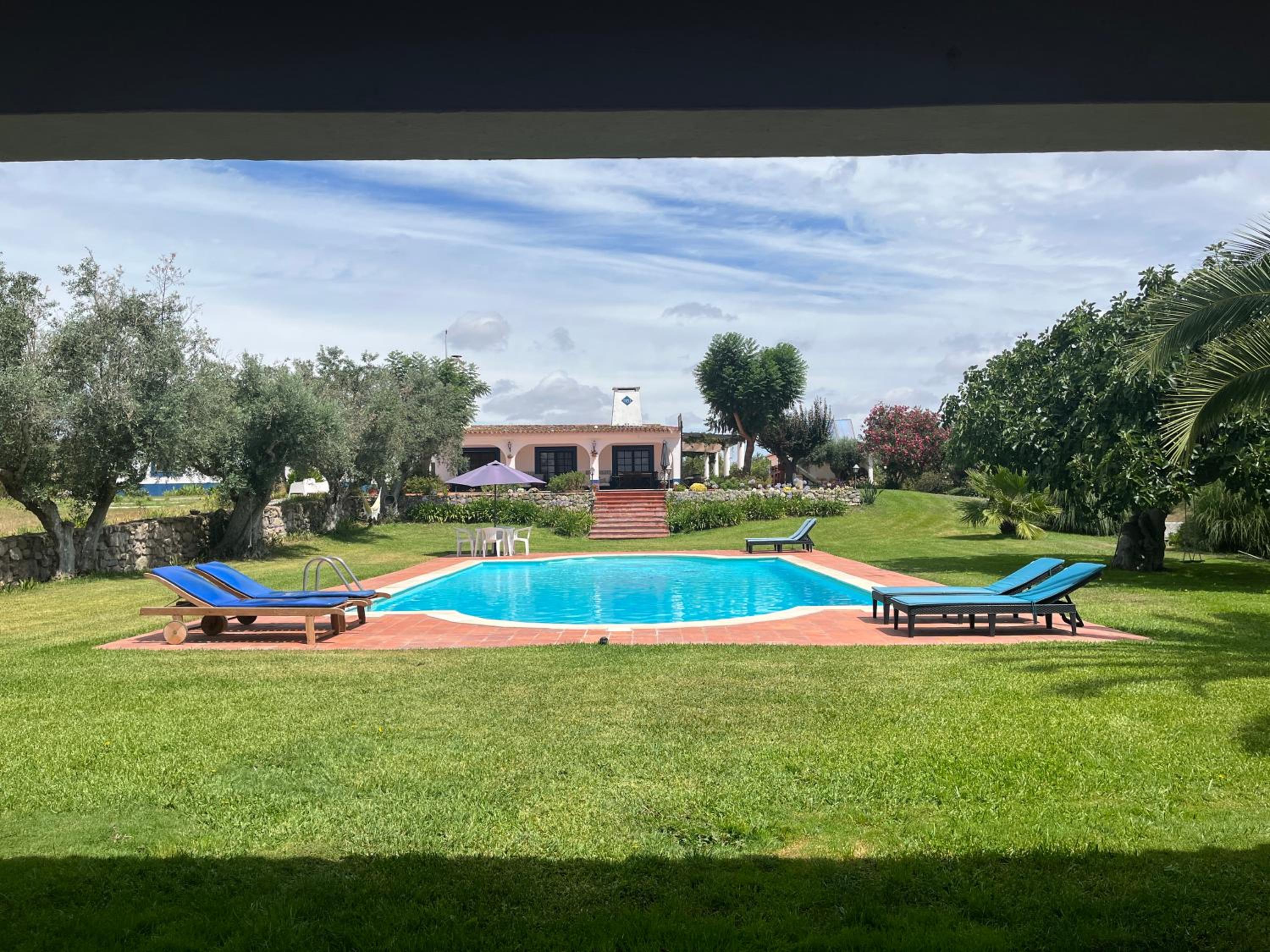 Casa de Campo, Quinta do Funchal view 5