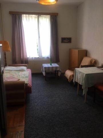 Apartment Trojska