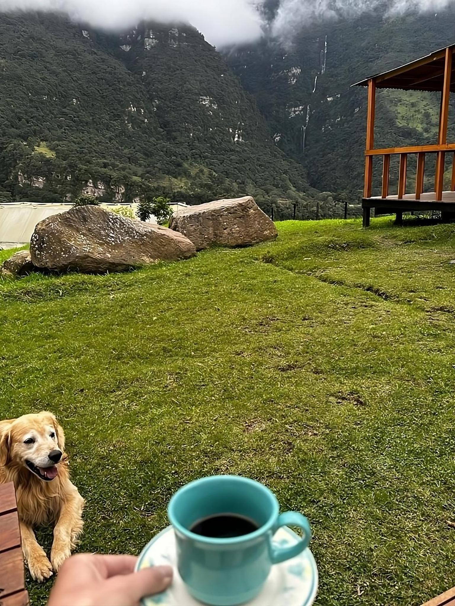 MonteLuna Glamping