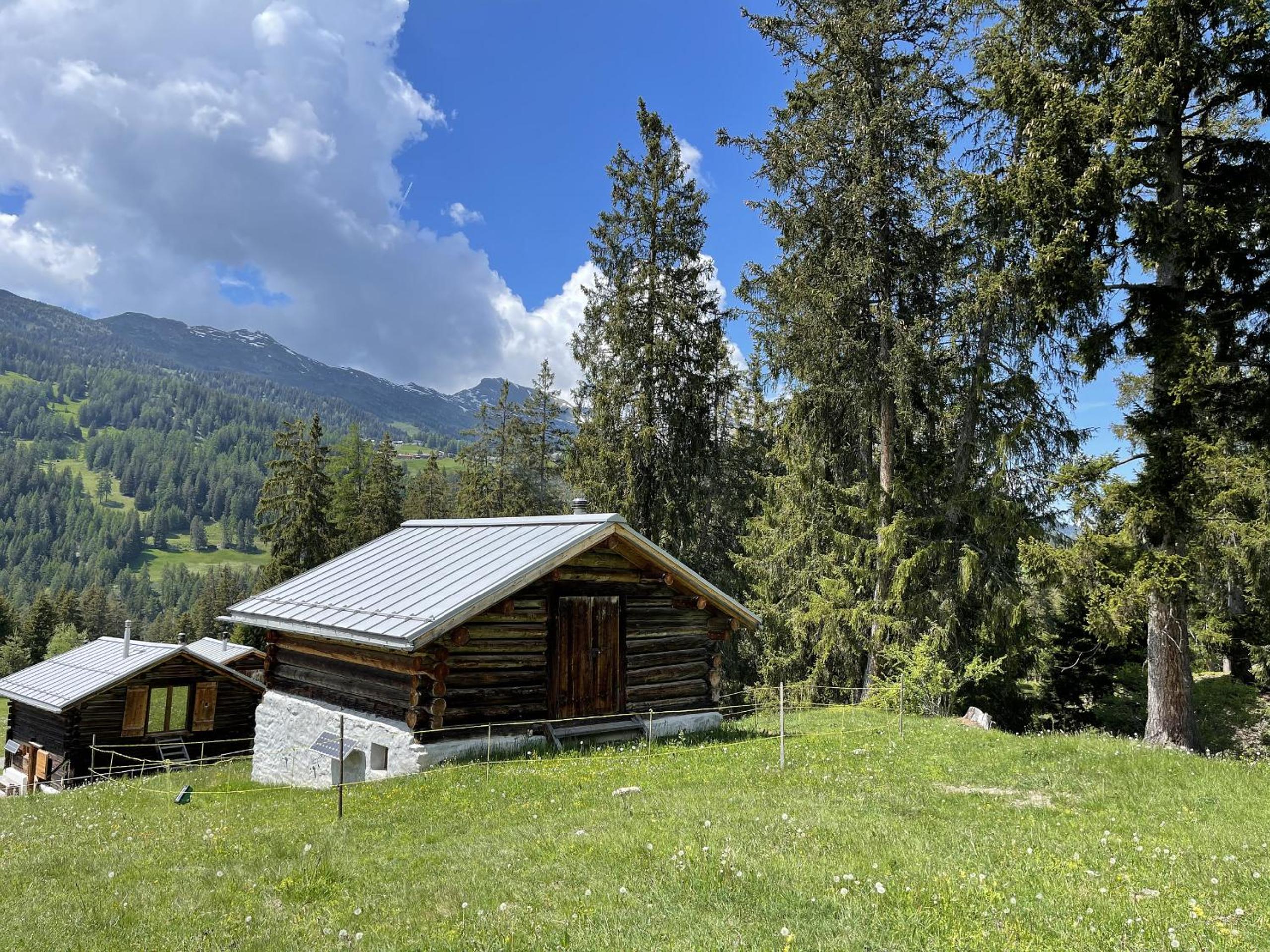 Tech-Free Haven Got Spess Lenzerheide view 4