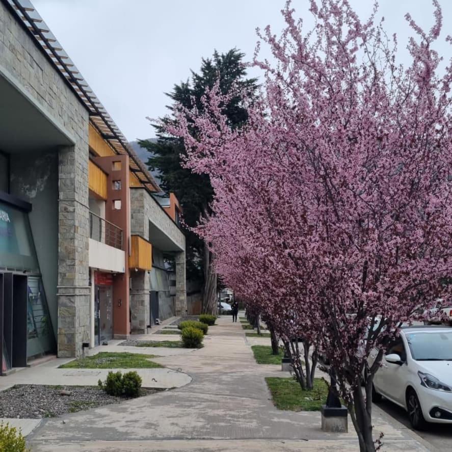Depto del Arroyo