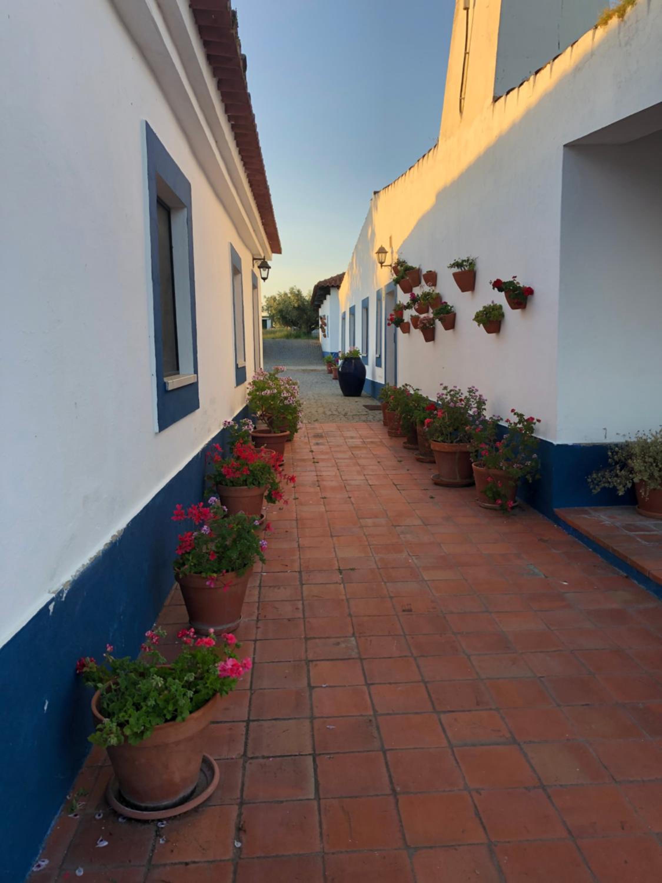 Casa de Campo, Quinta do Funchal view 3