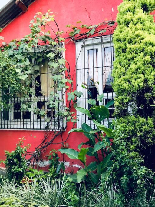 Casa I’x (Jaguar)
