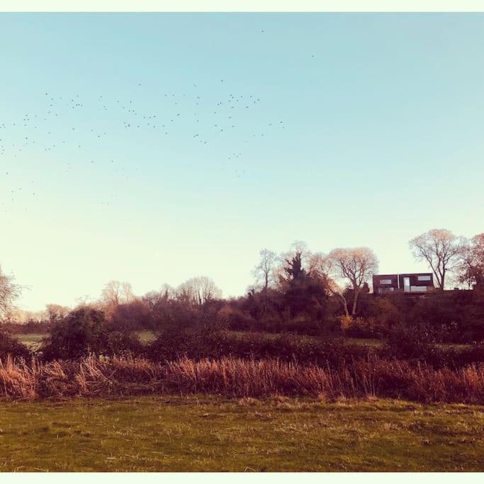 Photo 46