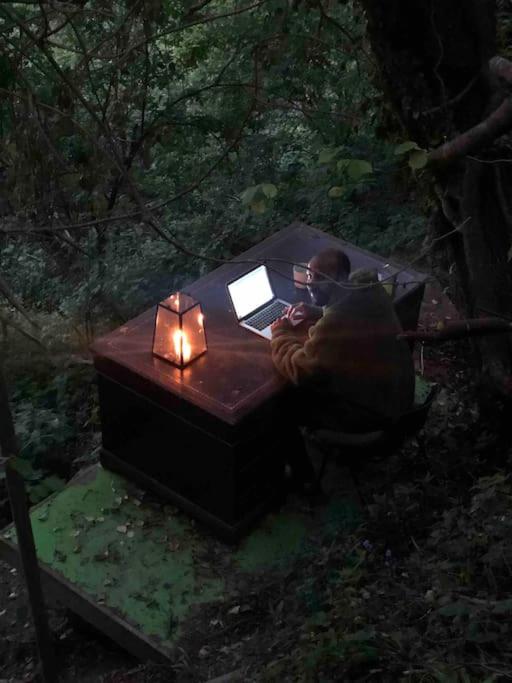 Photo 22