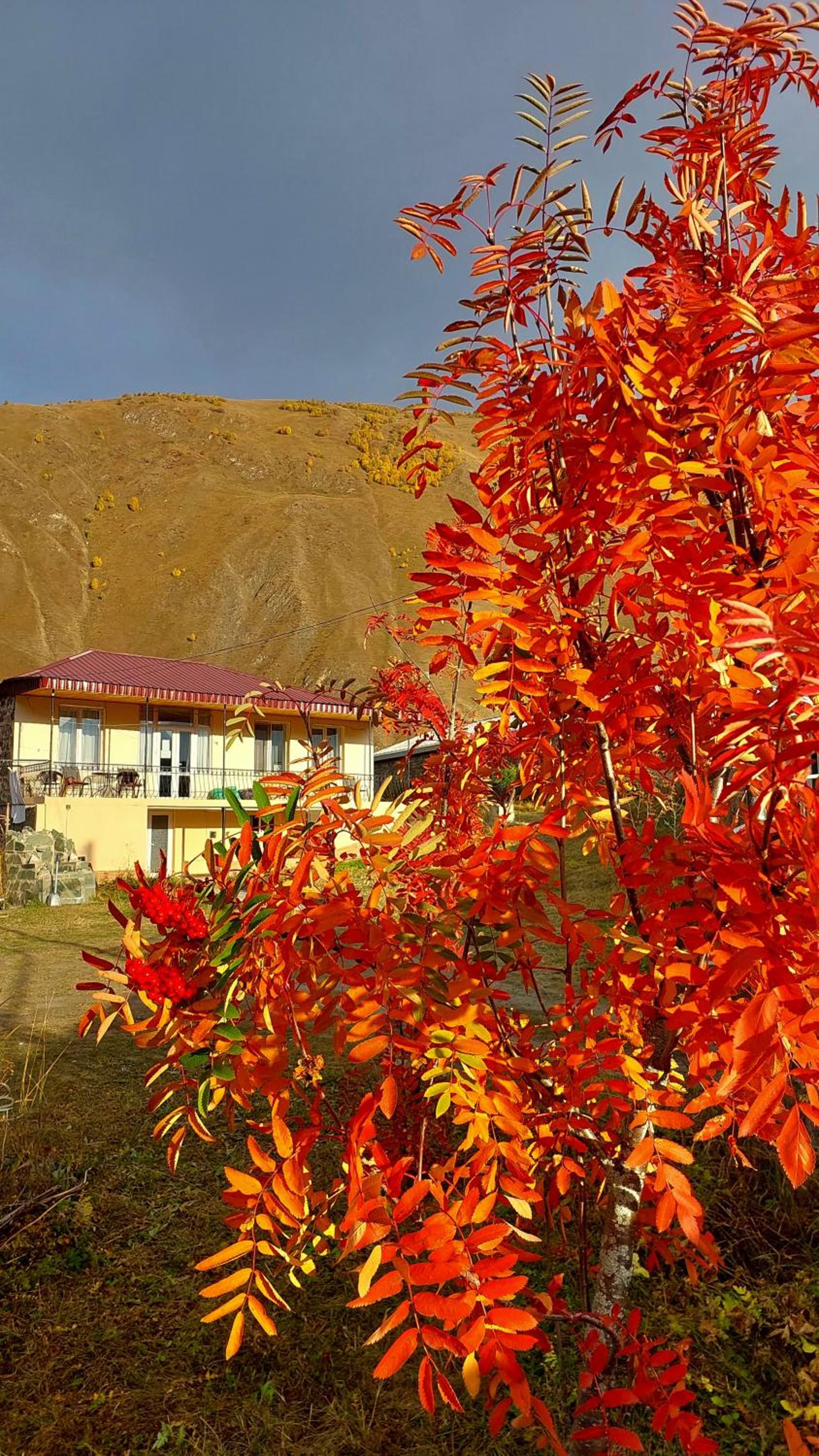 Hotel Garbani view 4