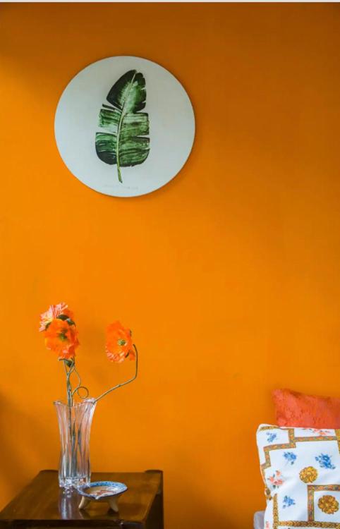 La Boheme: paraiso tropical a la par del centro