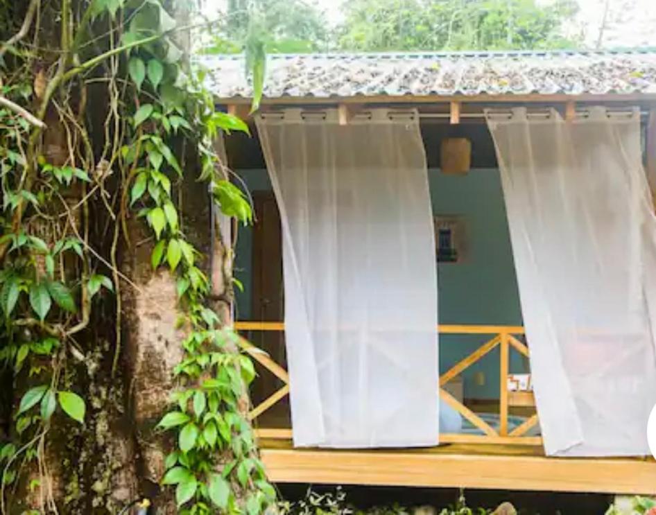 La Boheme: paraiso tropical a la par del centro