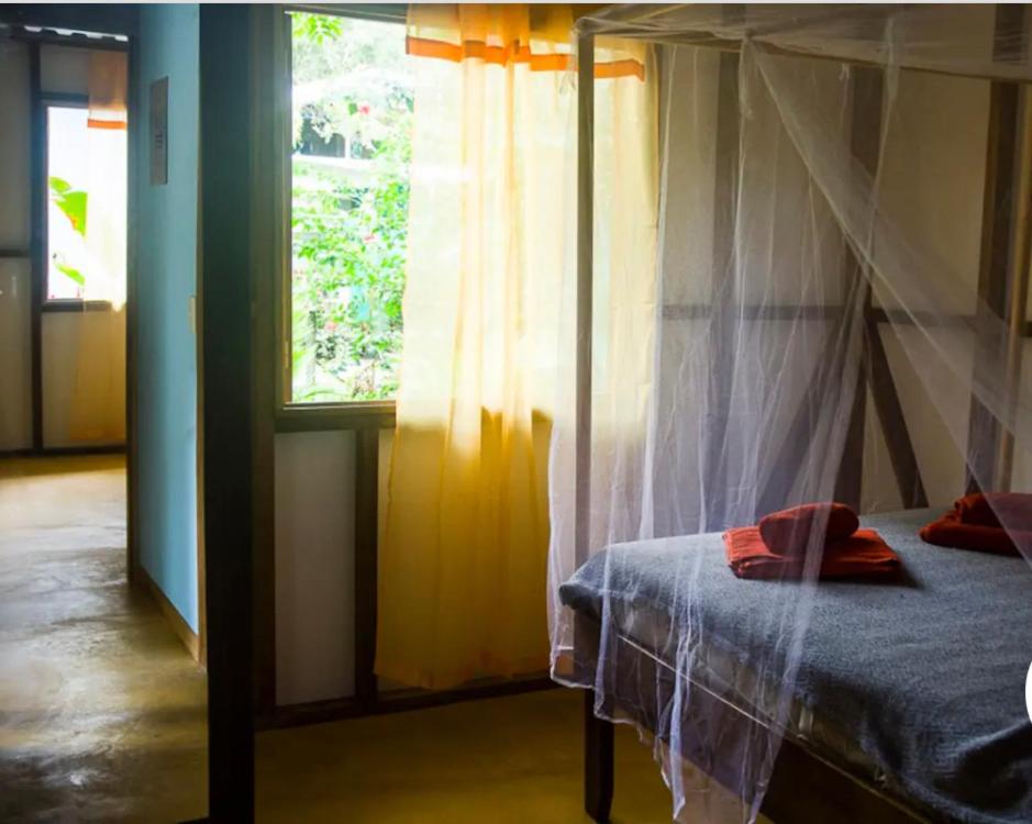 La Boheme: paraiso tropical a la par del centro