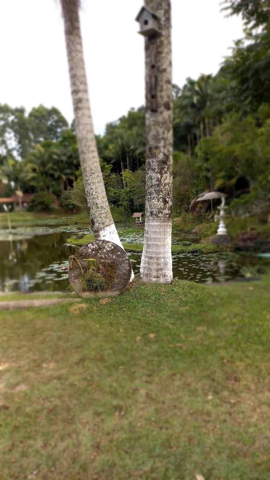 Chalé Sitio do Schlatter