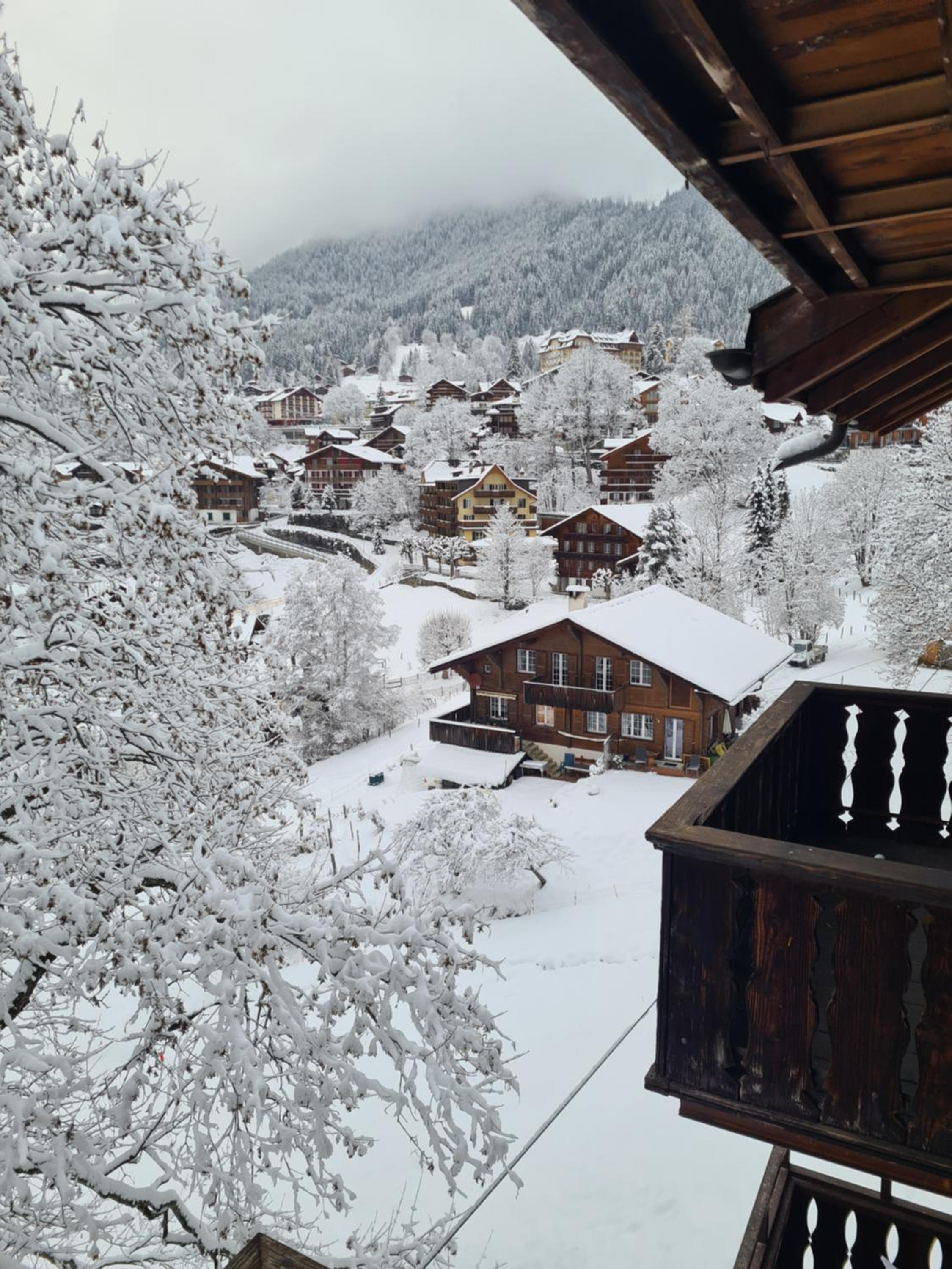 Traditional chalet in Wengen - Top Floor