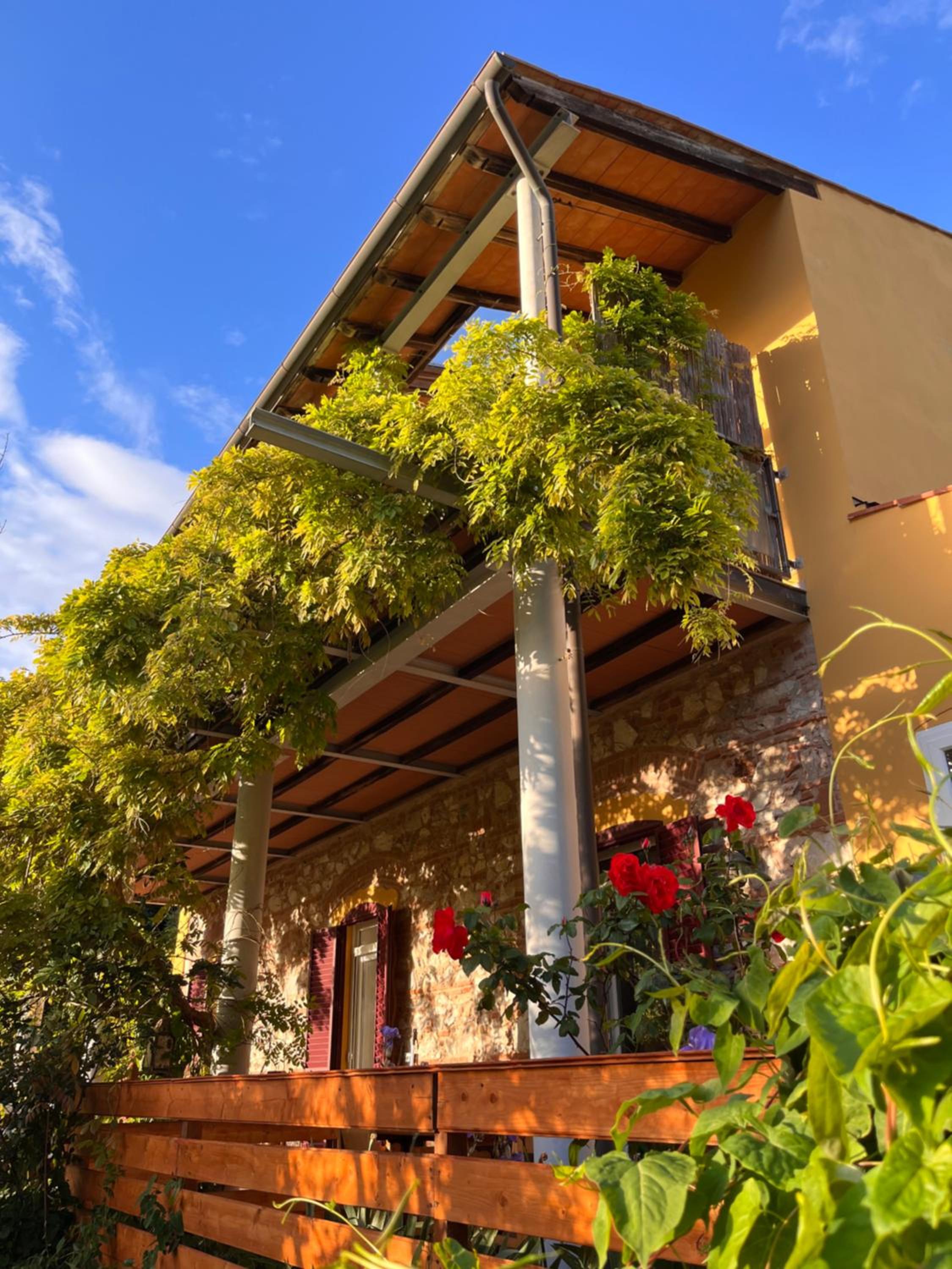 B&B La Fucinaia Pet Friendly view 3