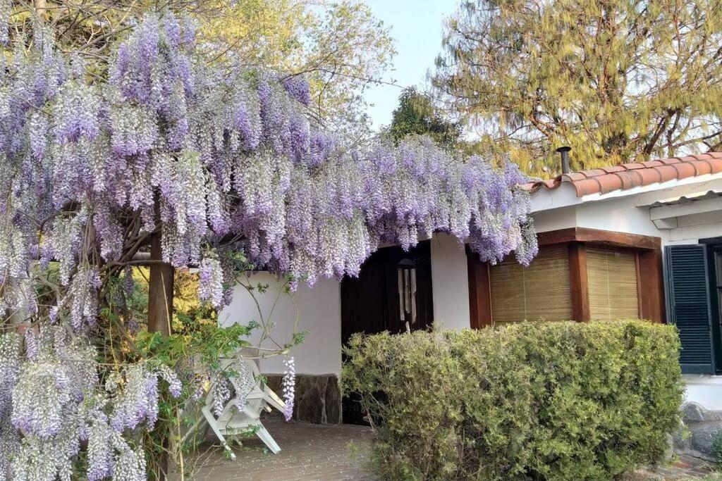 La Casa del Lago - Rincón del Lago