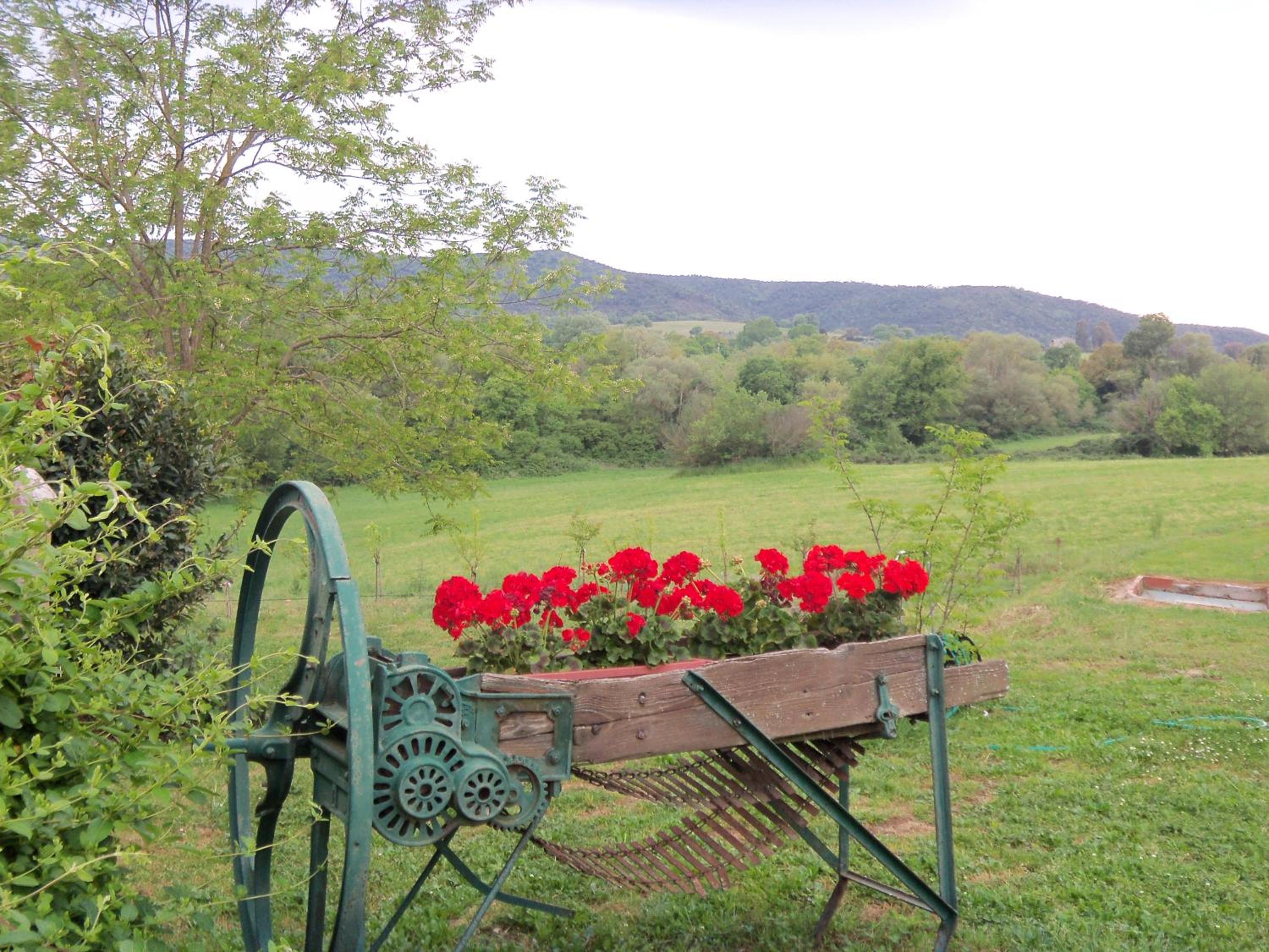 Agriturismo Bonzalone