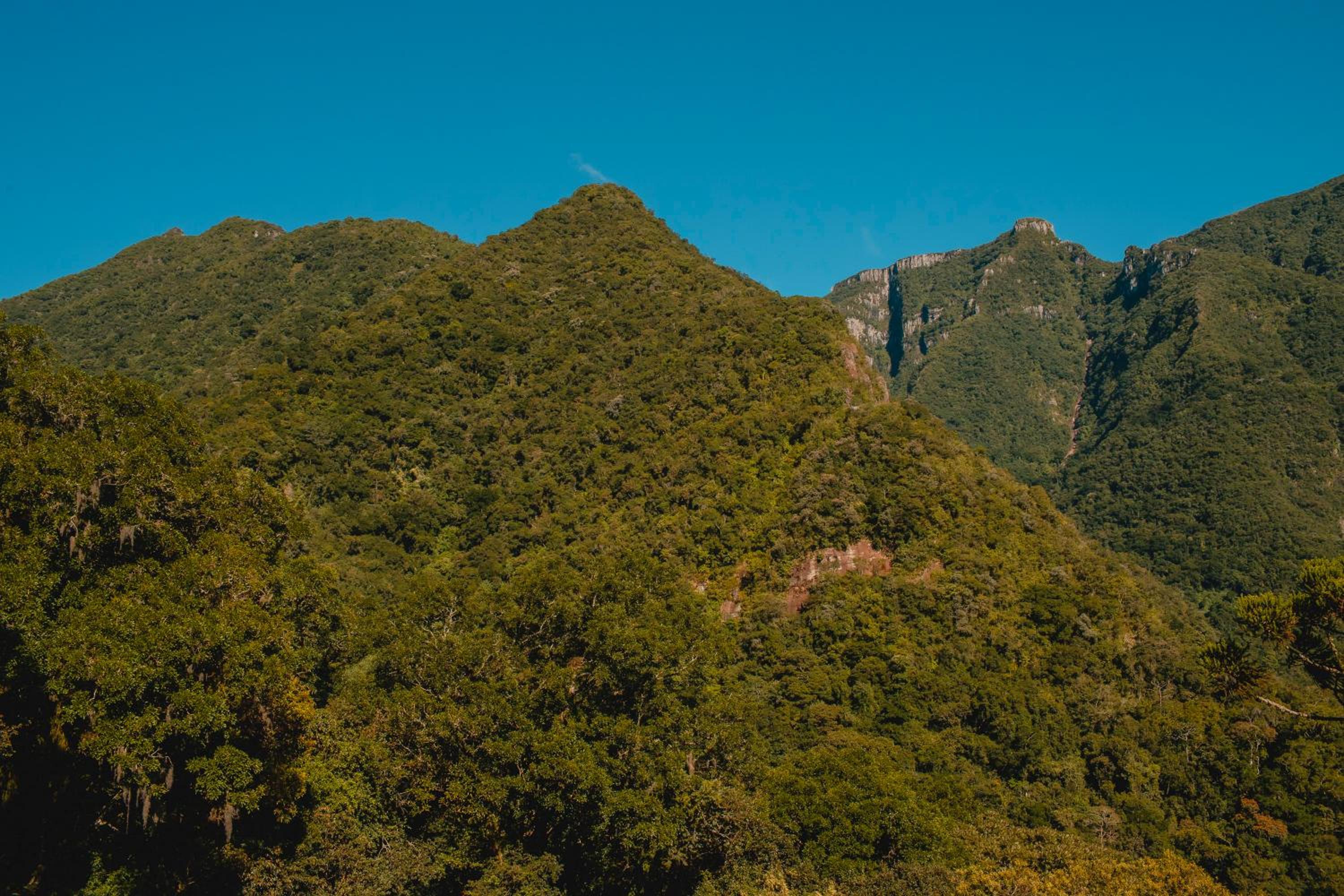 Pousada Bugio da Serra