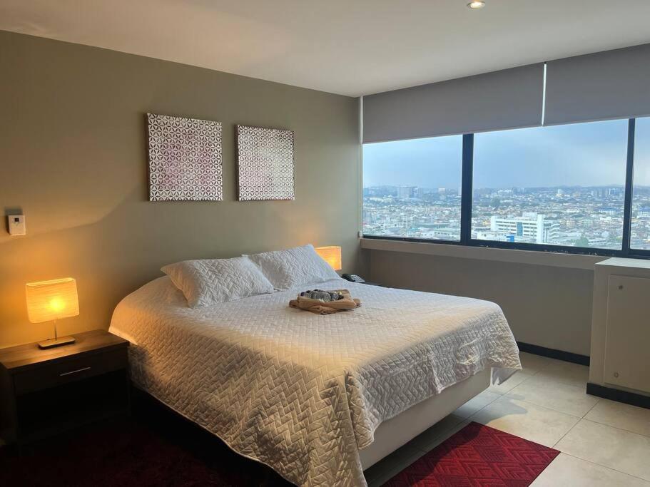 Suite en Puerto Santa Ana con vista a la ciudad! view 2