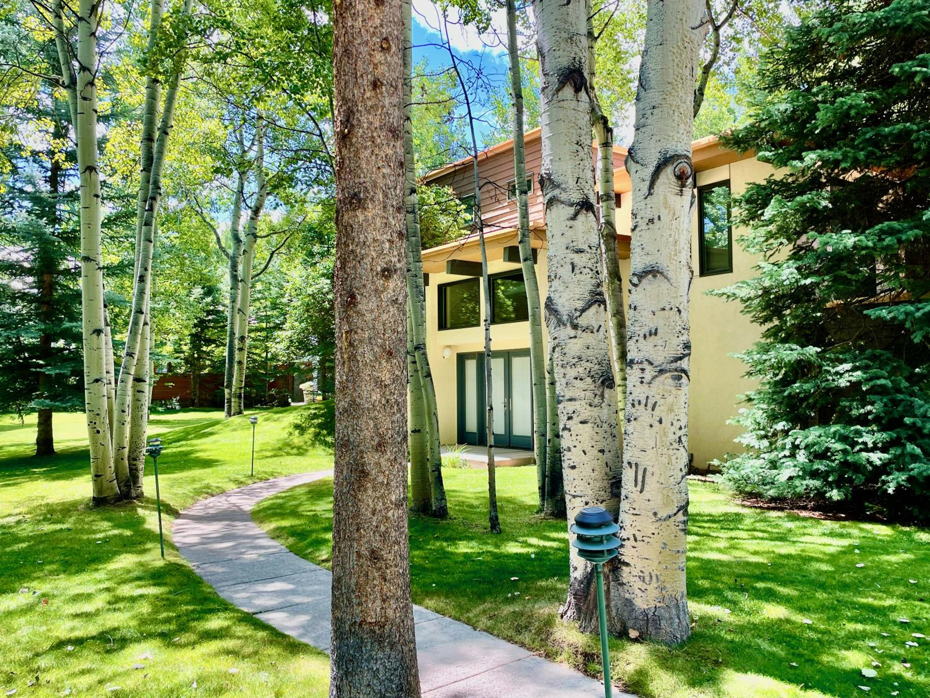 Aspen West End Sanctuary 4878 sf. view 5