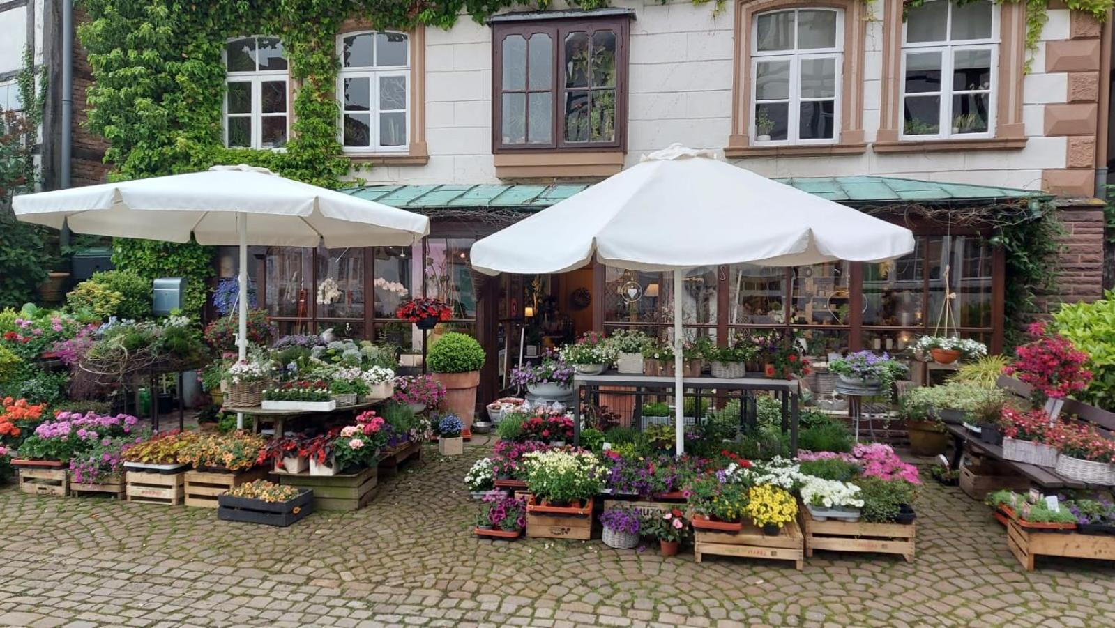 Fewo Dornröschen