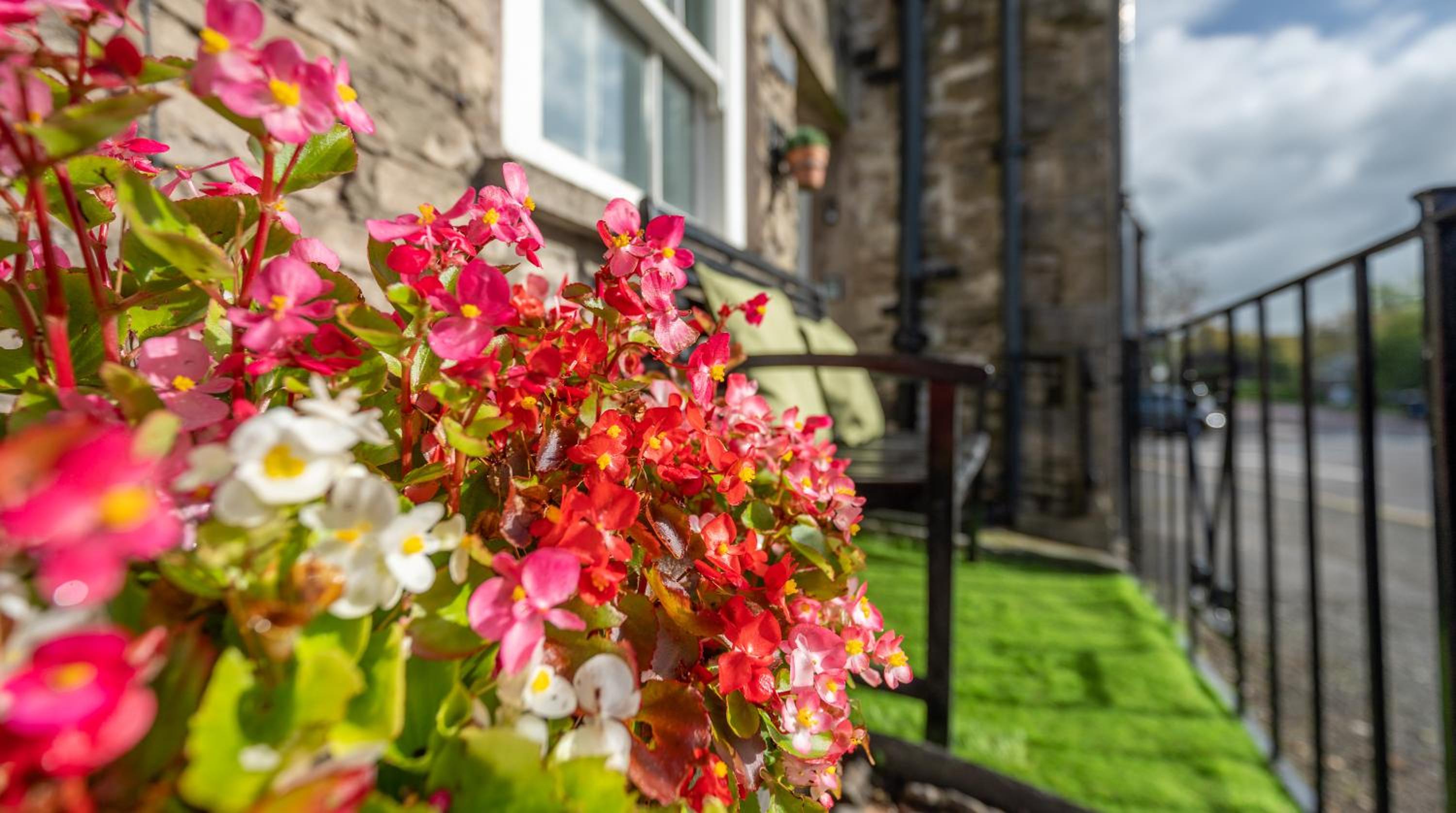 Wee Toad Hole Heart of Kendal - Cottage sleeps 4-6 - Dogs Welcome view 2