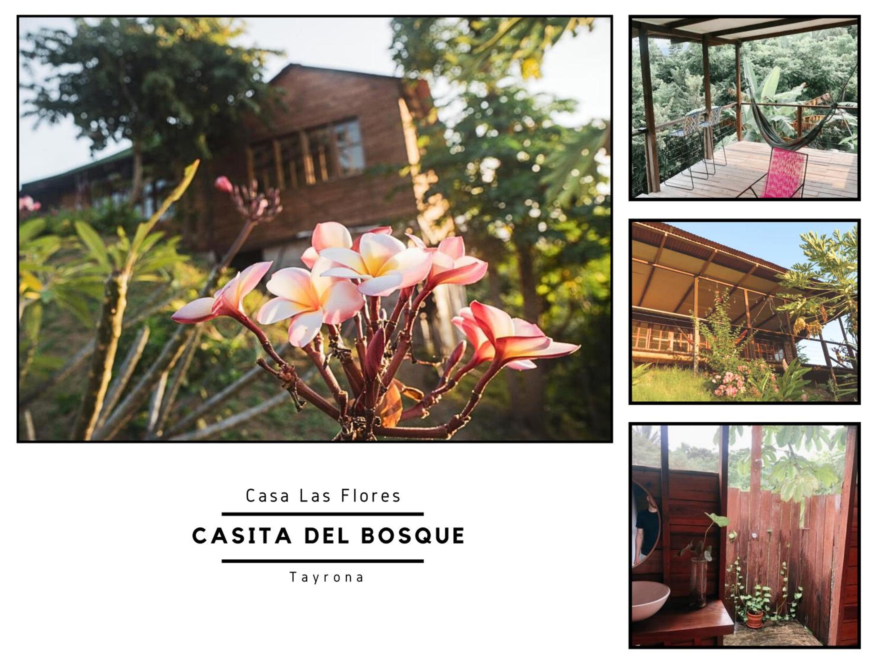 La Casita del Bosque